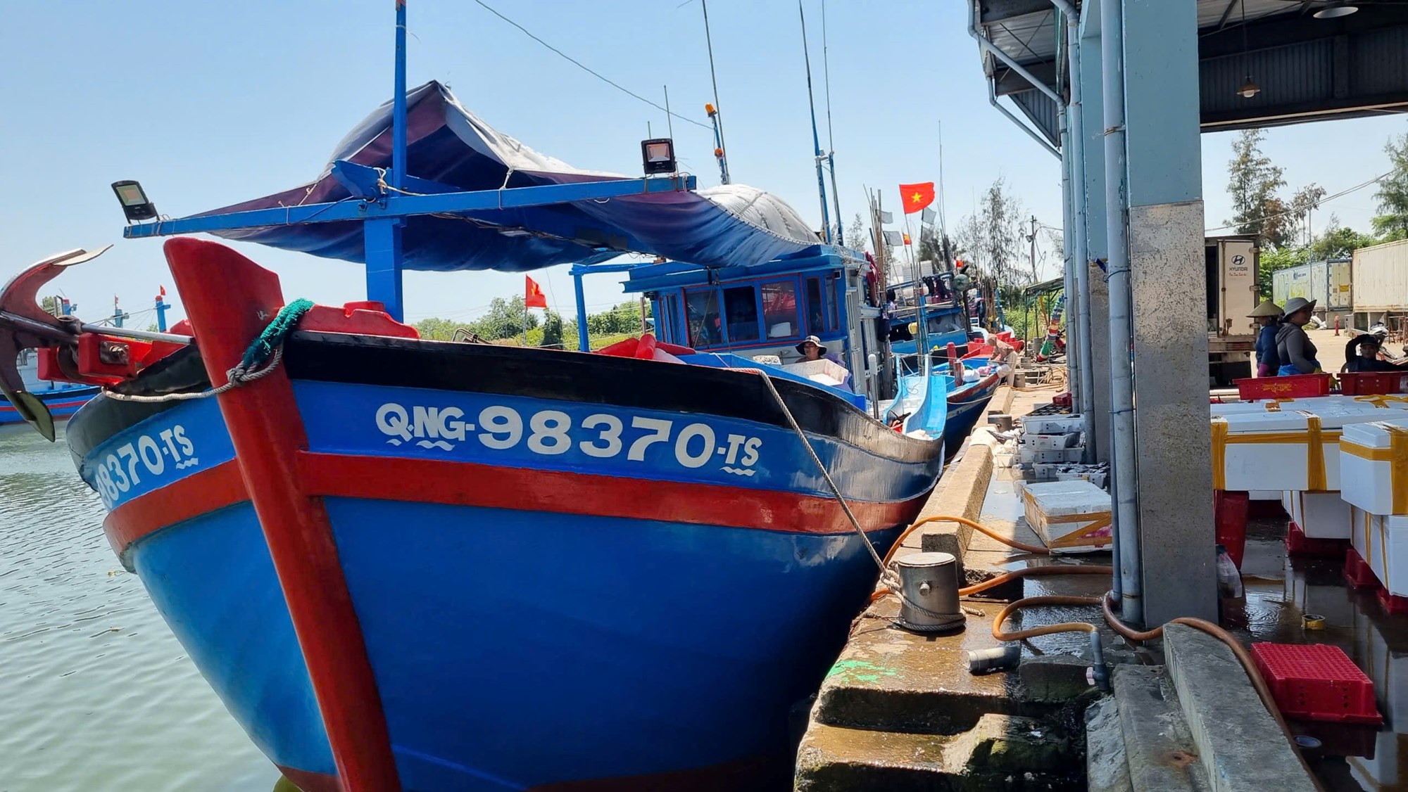 Tàu cá Quảng Ngãi bội thu hải sản, ngư dân phấn khởi sau chuyến biển xa - ảnh 1