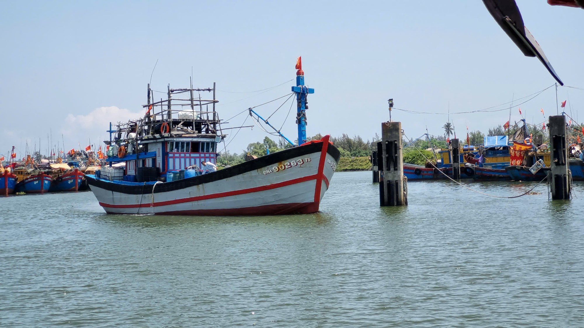 Tàu cá Quảng Ngãi bội thu hải sản, ngư dân phấn khởi sau chuyến biển xa - ảnh 11