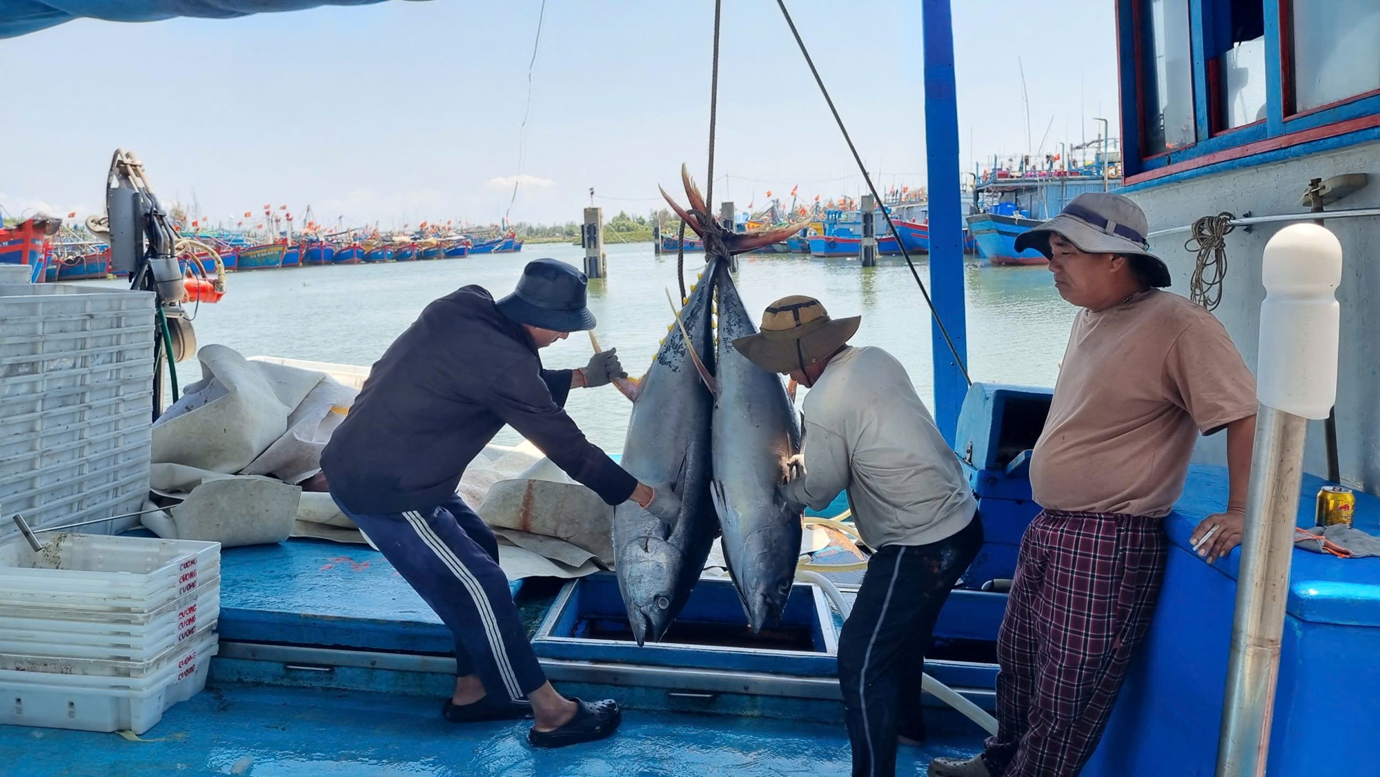 Tàu cá Quảng Ngãi bội thu hải sản, ngư dân phấn khởi sau chuyến biển xa - ảnh 2