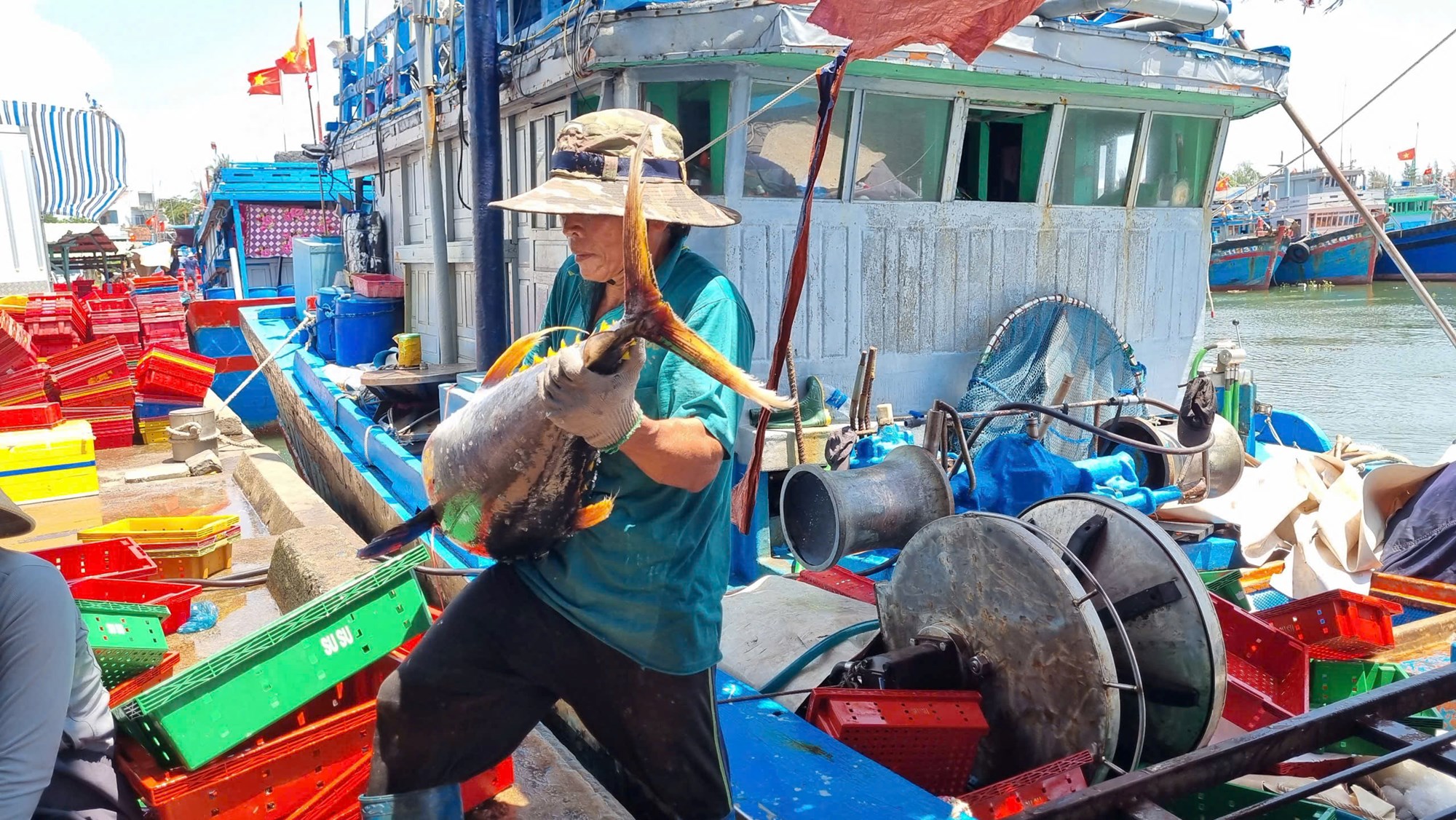 Tàu cá Quảng Ngãi bội thu hải sản, ngư dân phấn khởi sau chuyến biển xa - ảnh 3