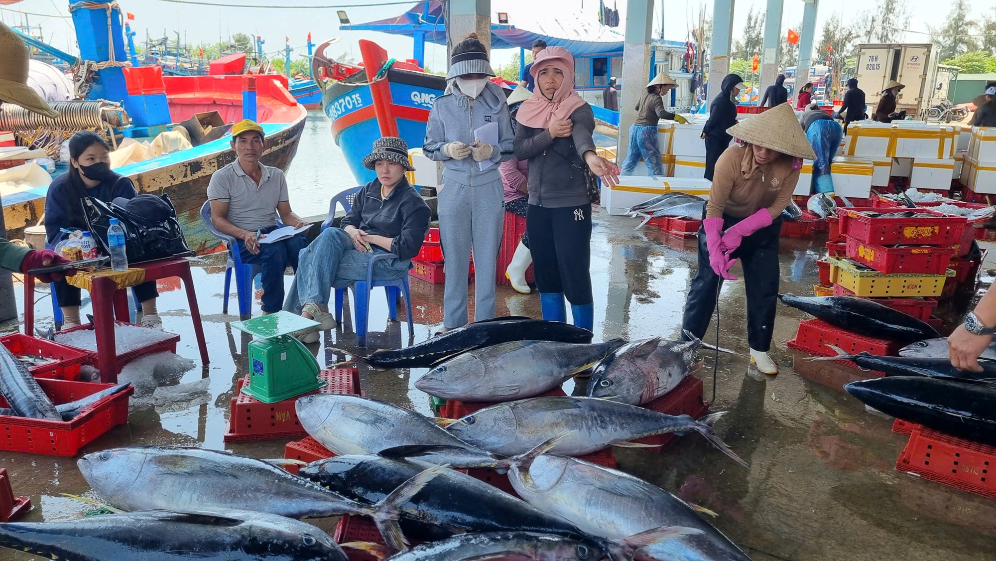 Tàu cá Quảng Ngãi bội thu hải sản, ngư dân phấn khởi sau chuyến biển xa - ảnh 4