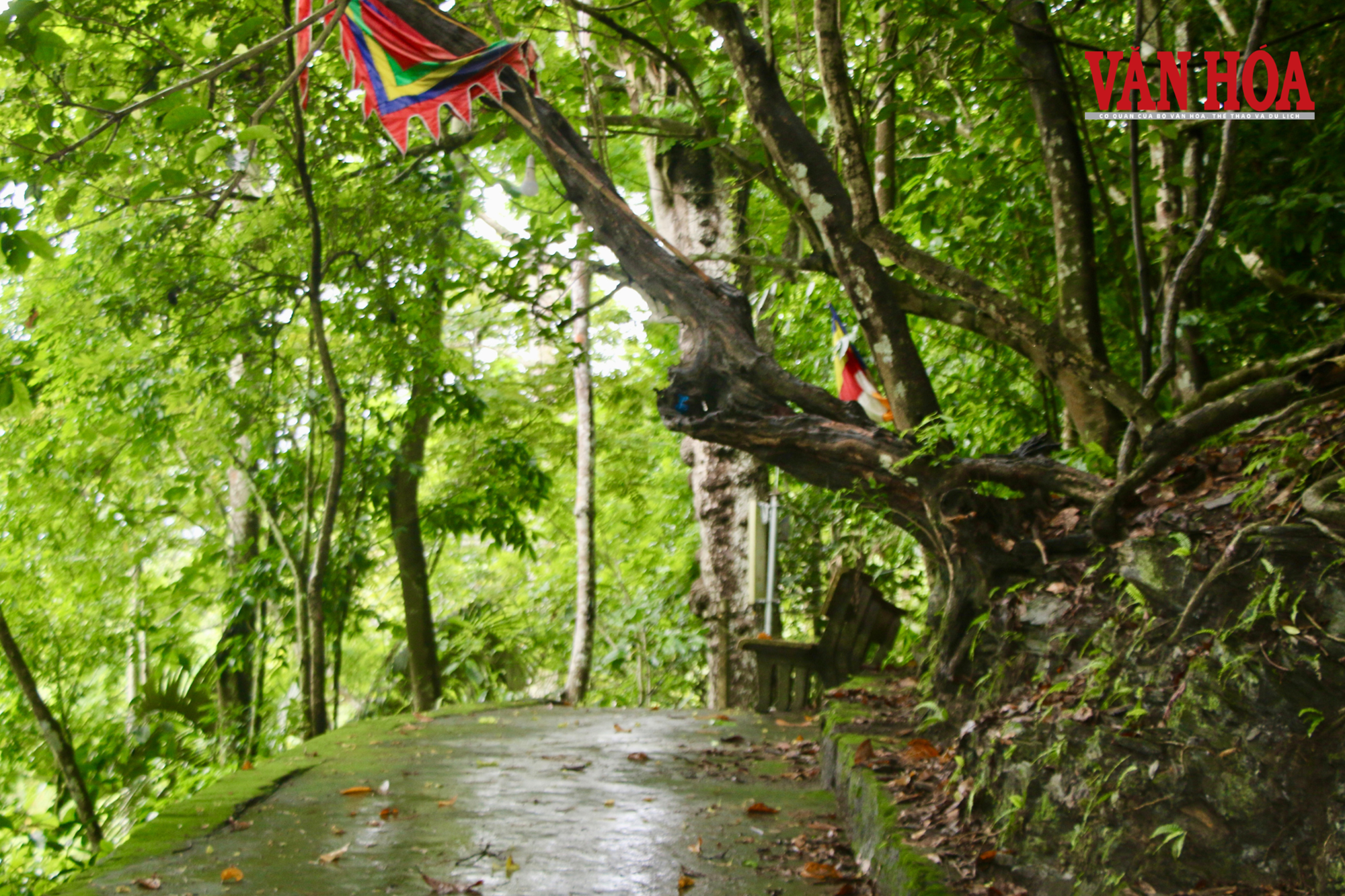 Từ chốn hoang vu, chùa đá cổ thu hút giới trẻ nhờ sư thầy triệu view - ảnh 10