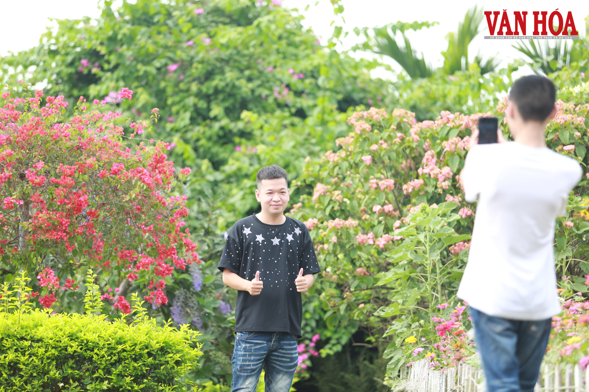 Từ đất hoang sơ thành đảo hoa hút khách giữa lòng hồ Núi Cốc - ảnh 4