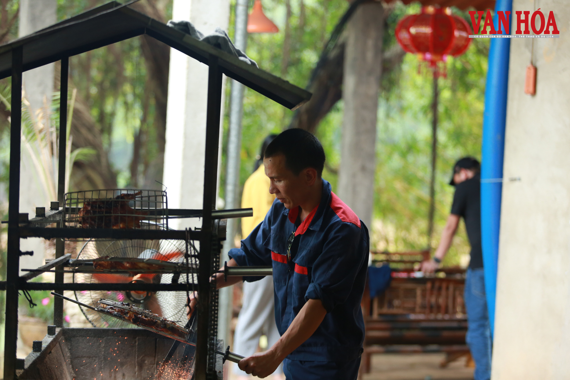 Từ đất hoang sơ thành đảo hoa hút khách giữa lòng hồ Núi Cốc - ảnh 6