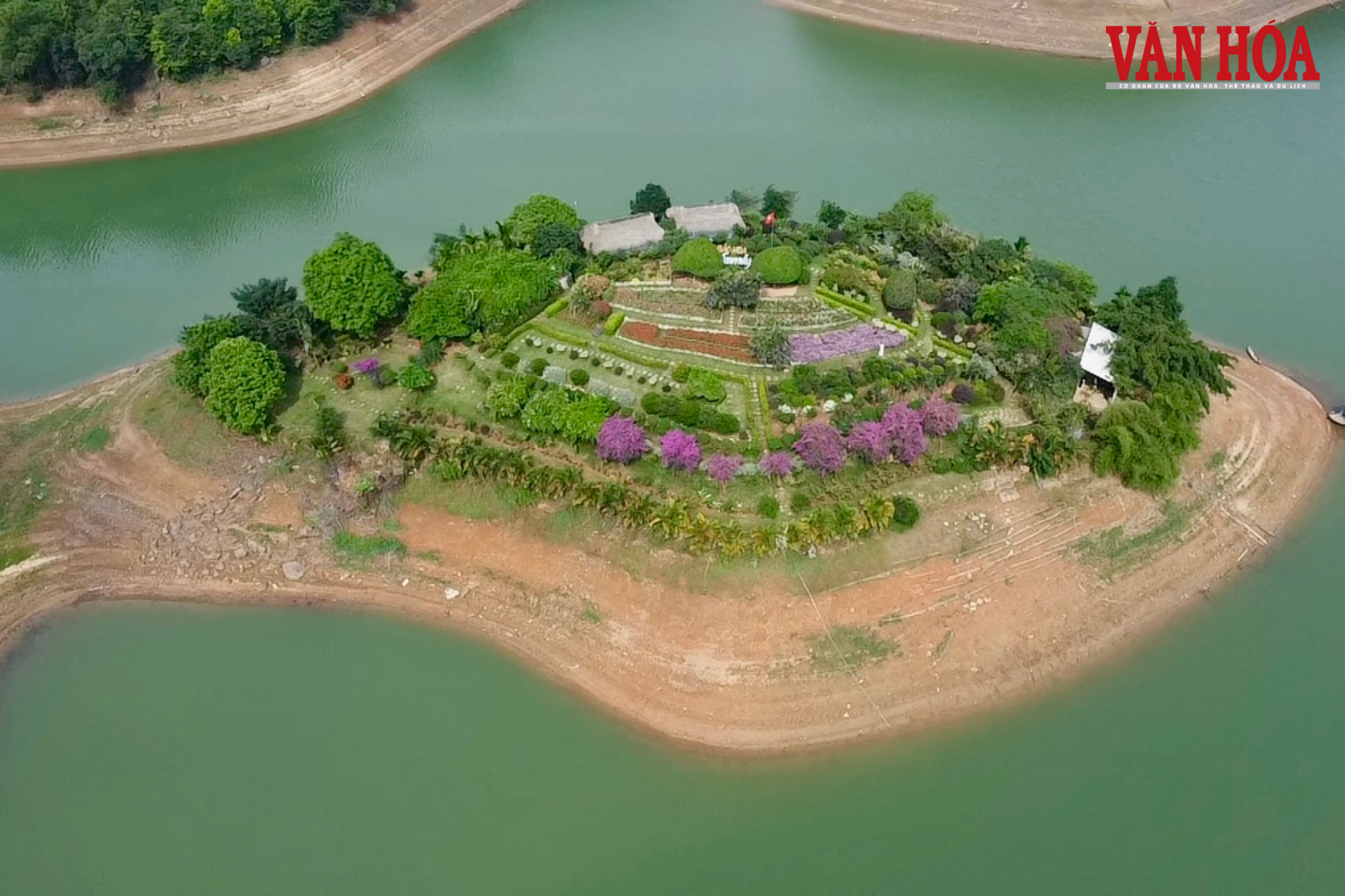 Từ đất hoang sơ thành đảo hoa hút khách giữa lòng hồ Núi Cốc - ảnh 1