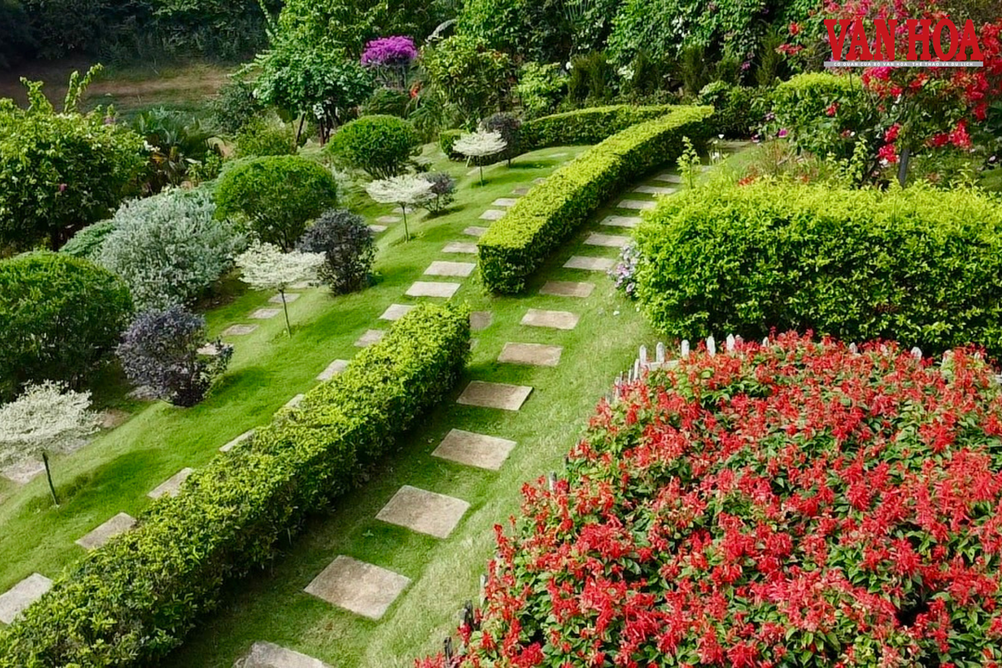 Từ đất hoang sơ thành đảo hoa hút khách giữa lòng hồ Núi Cốc - ảnh 8