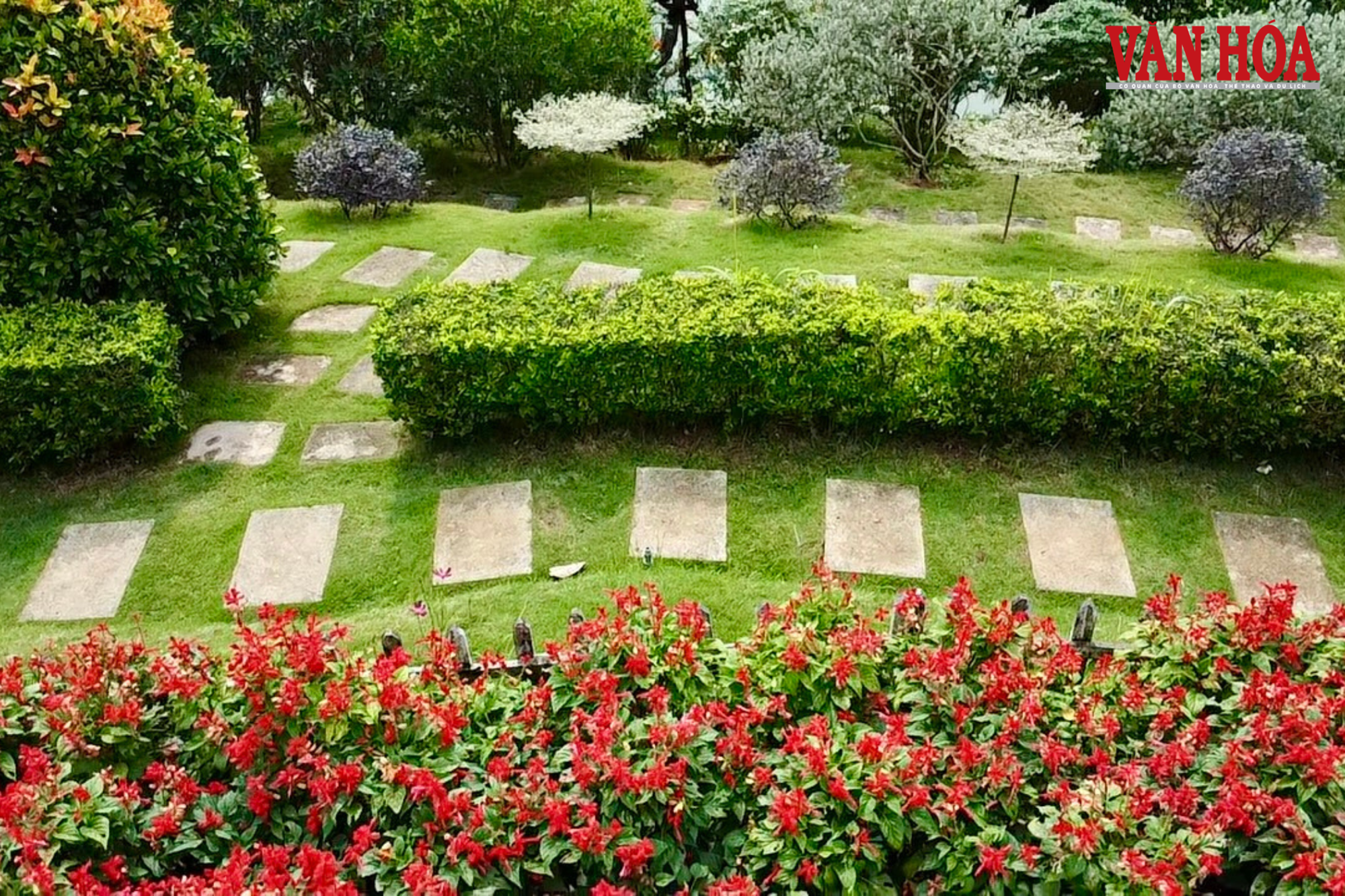 Từ đất hoang sơ thành đảo hoa hút khách giữa lòng hồ Núi Cốc - ảnh 5