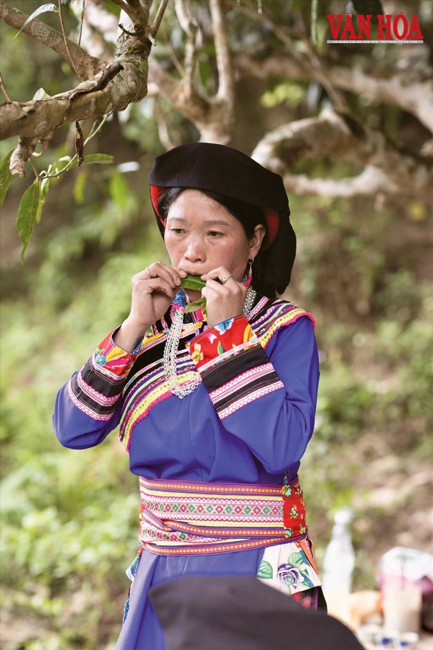 Nghệ nhân người Cơ Lao thổi khèn lá giữa rừng già Tây Côn Lĩnh
