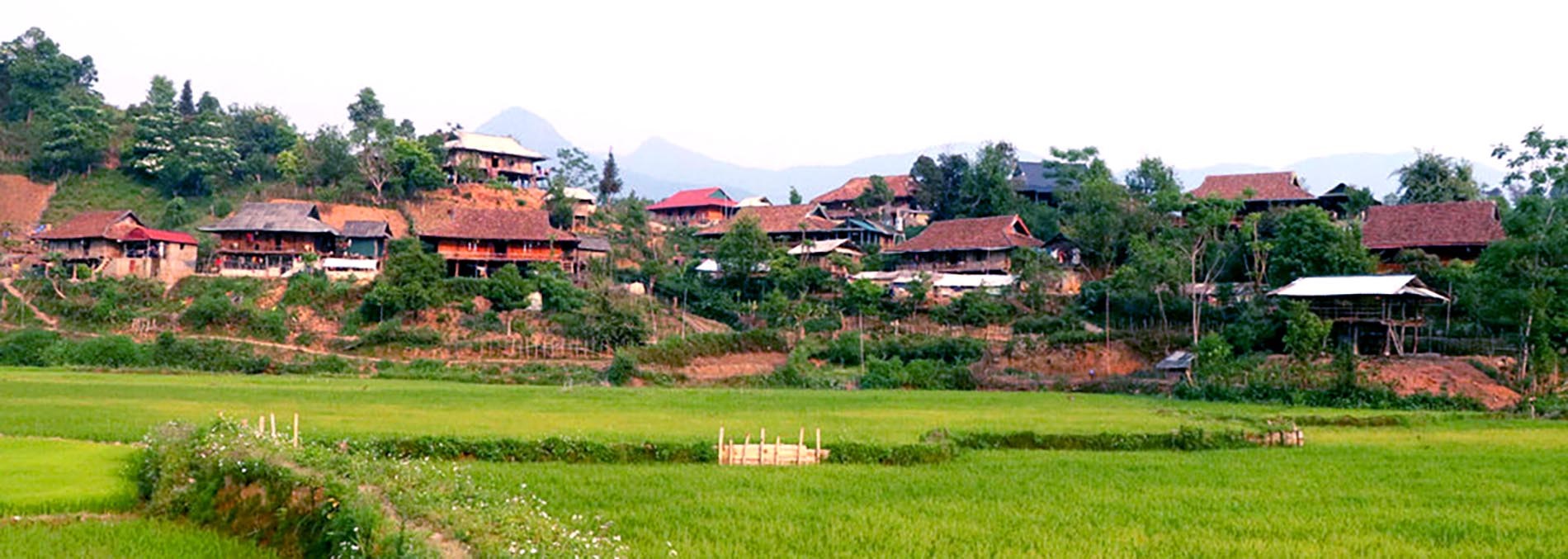 Toàn cảnh bản người Thái tại Điện Biên, nét đẹp văn hóa và cảnh quan truyền thống