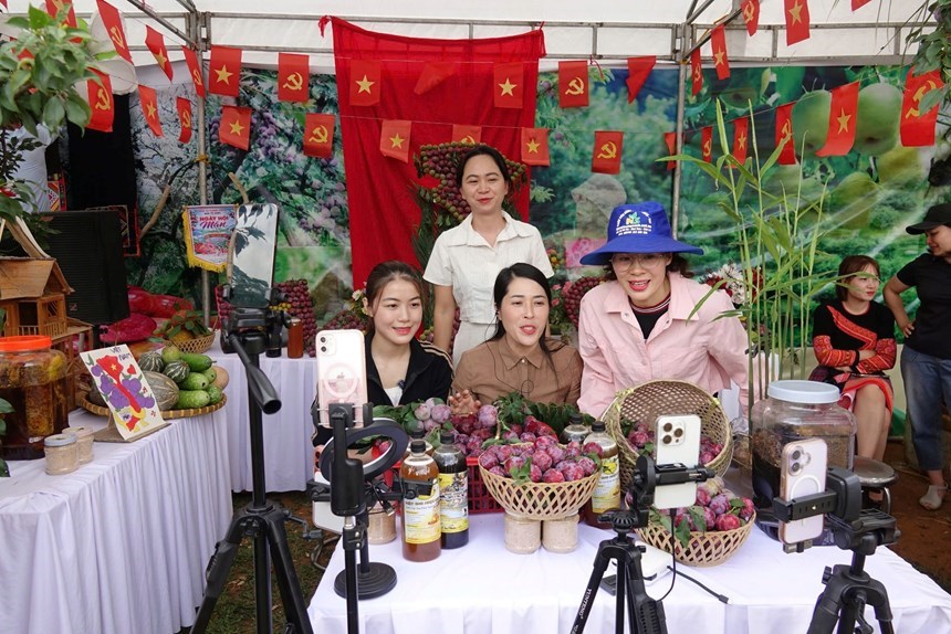 Livestream bán mận hậu tại ngày hội Phiêng Khoài