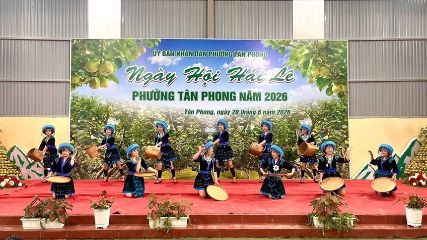 Khai mạc Ngày hội hái lê phường Tân Phong lần thứ nhất năm 2026 tại Lai Châu