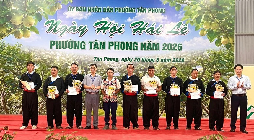 Biểu dương các hộ gia đình trồng lê tiêu biểu tại phường Tân Phong