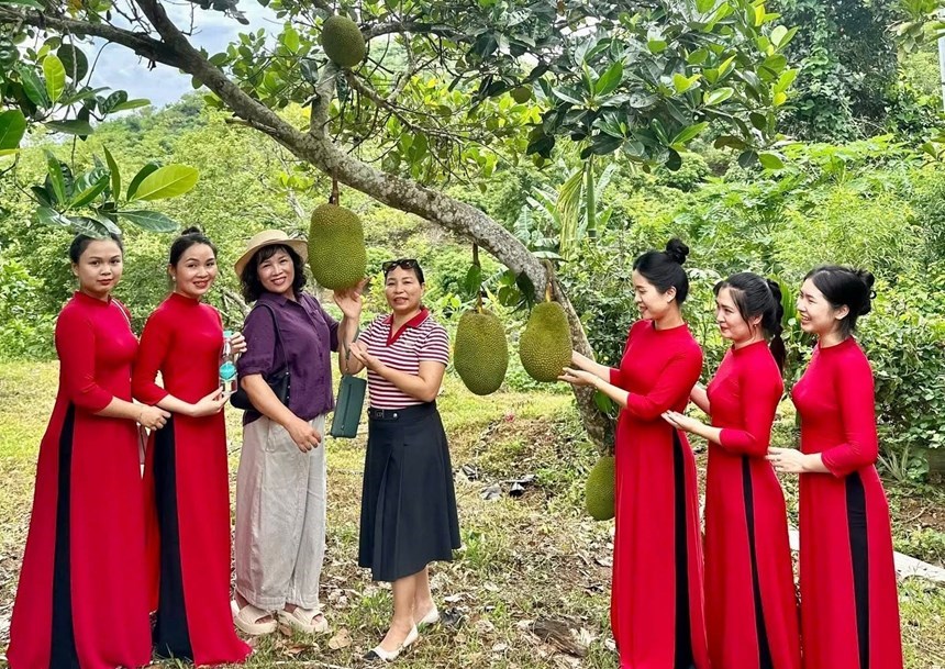 Đông đảo du khách tham gia các hoạt động trải nghiệm tại Lễ hội Hoa trái bốn mùa năm 2026