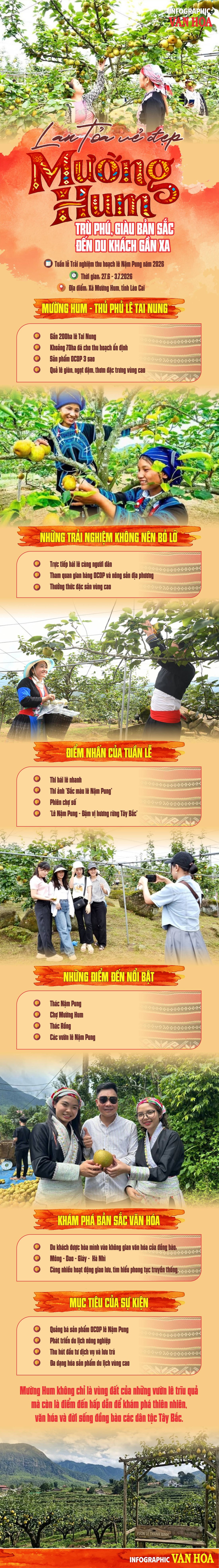 Du khách trải nghiệm thu hoạch lê Nậm Pung tại vườn lê xã Mường Hum, Lào Cai trong Tuần lễ Trải nghiệm năm 2026