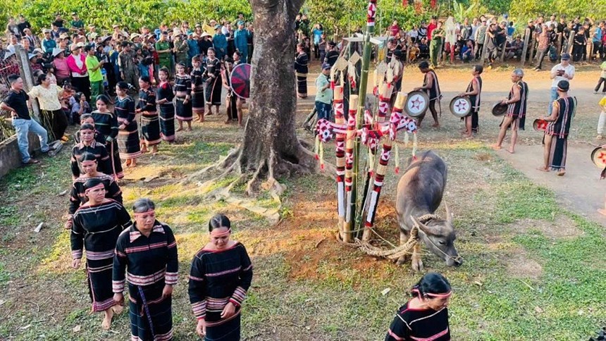 Hội đồng già làng thực hiện nghi thức thông linh trong lễ mừng chiến thắng của người Jrai