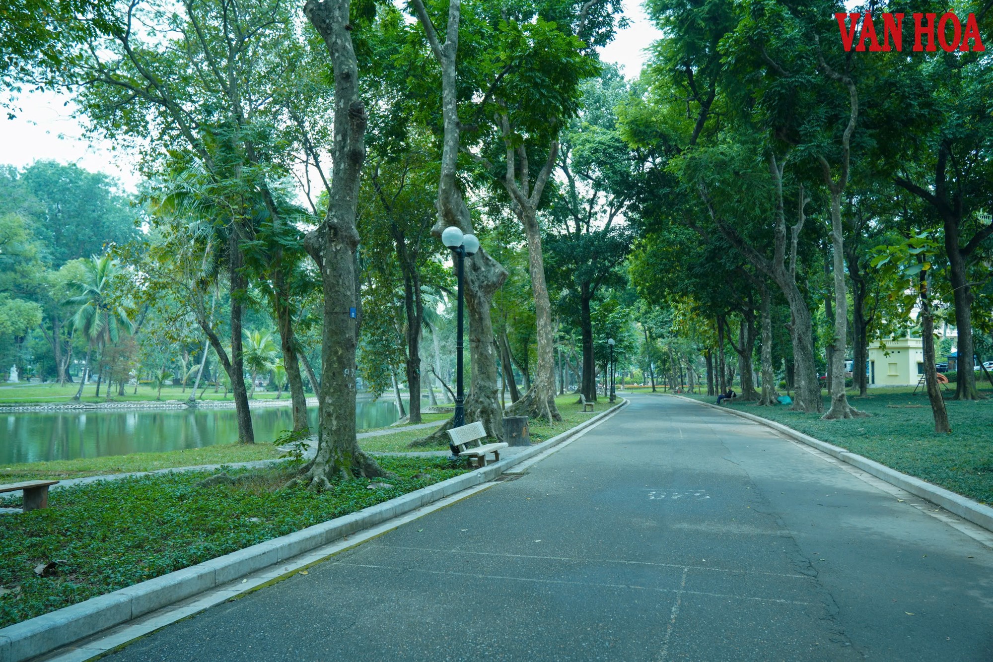 Công viên Bách Thảo thông thoáng hơn sau khi hạ rào sắt - ảnh 5