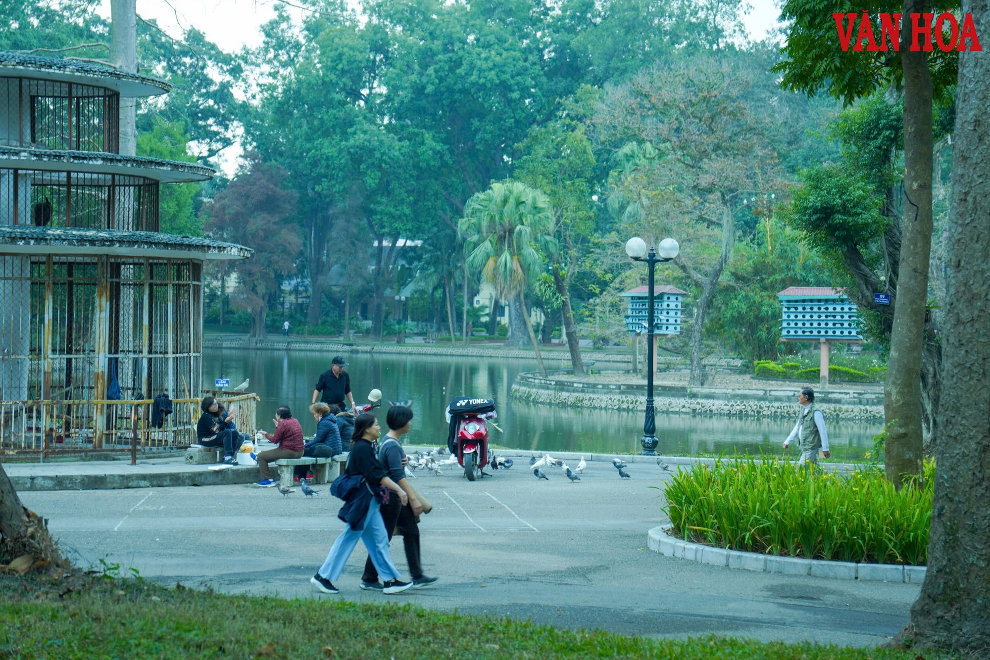 Công viên Bách Thảo thông thoáng hơn sau khi hạ rào sắt - ảnh 6