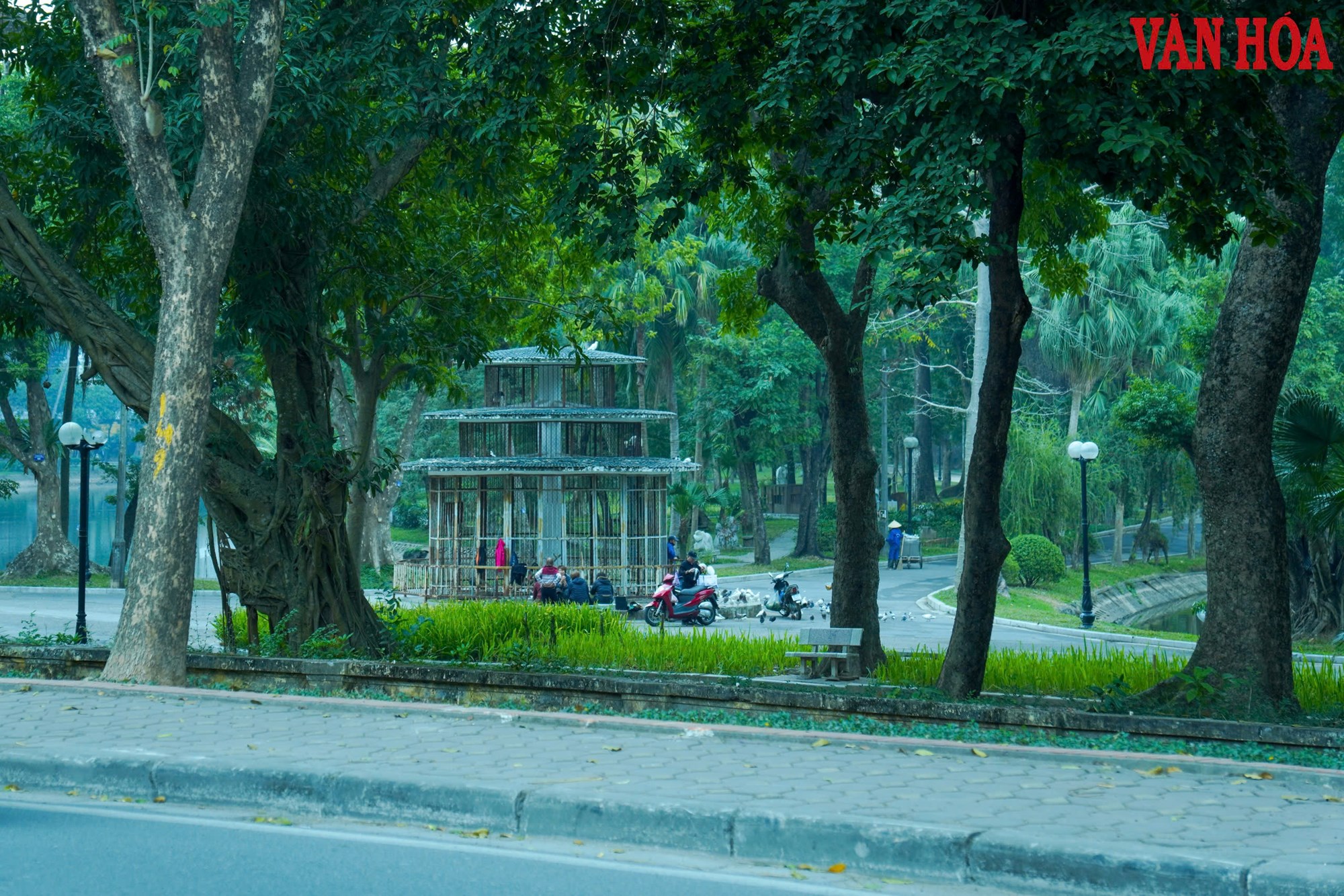 Công viên Bách Thảo thông thoáng hơn sau khi hạ rào sắt - ảnh 8