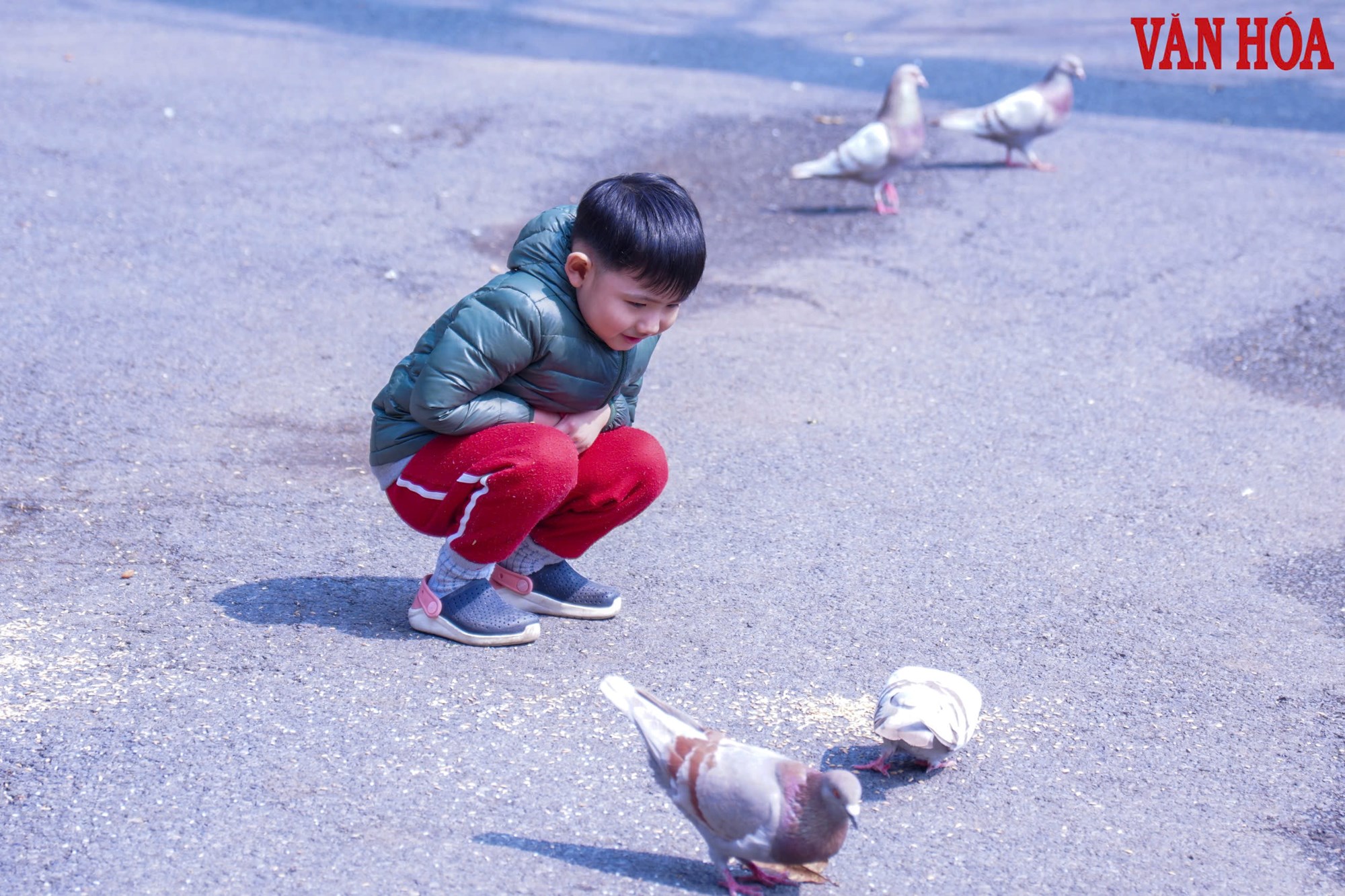 Công viên Bách Thảo thông thoáng hơn sau khi hạ rào sắt - ảnh 7