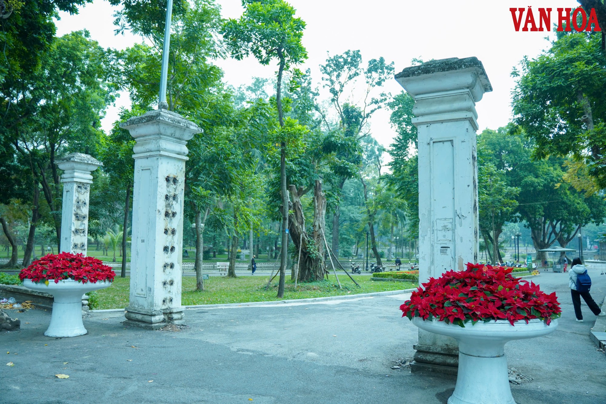 Công viên Bách Thảo thông thoáng hơn sau khi hạ rào sắt - ảnh 1