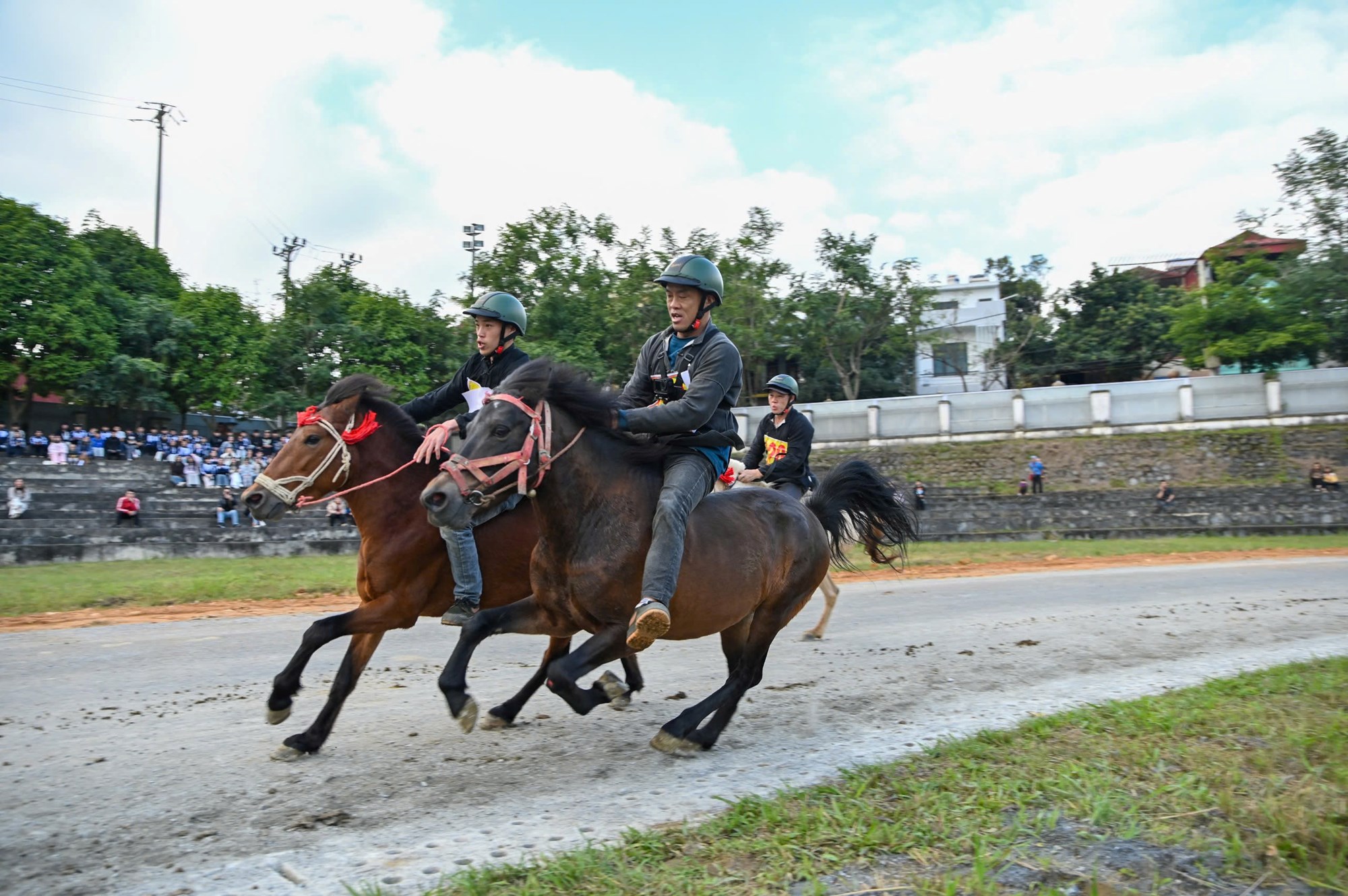 Mãn nhãn với Giải đua ngựa hàng tuần Bắc Hà - ảnh 3
