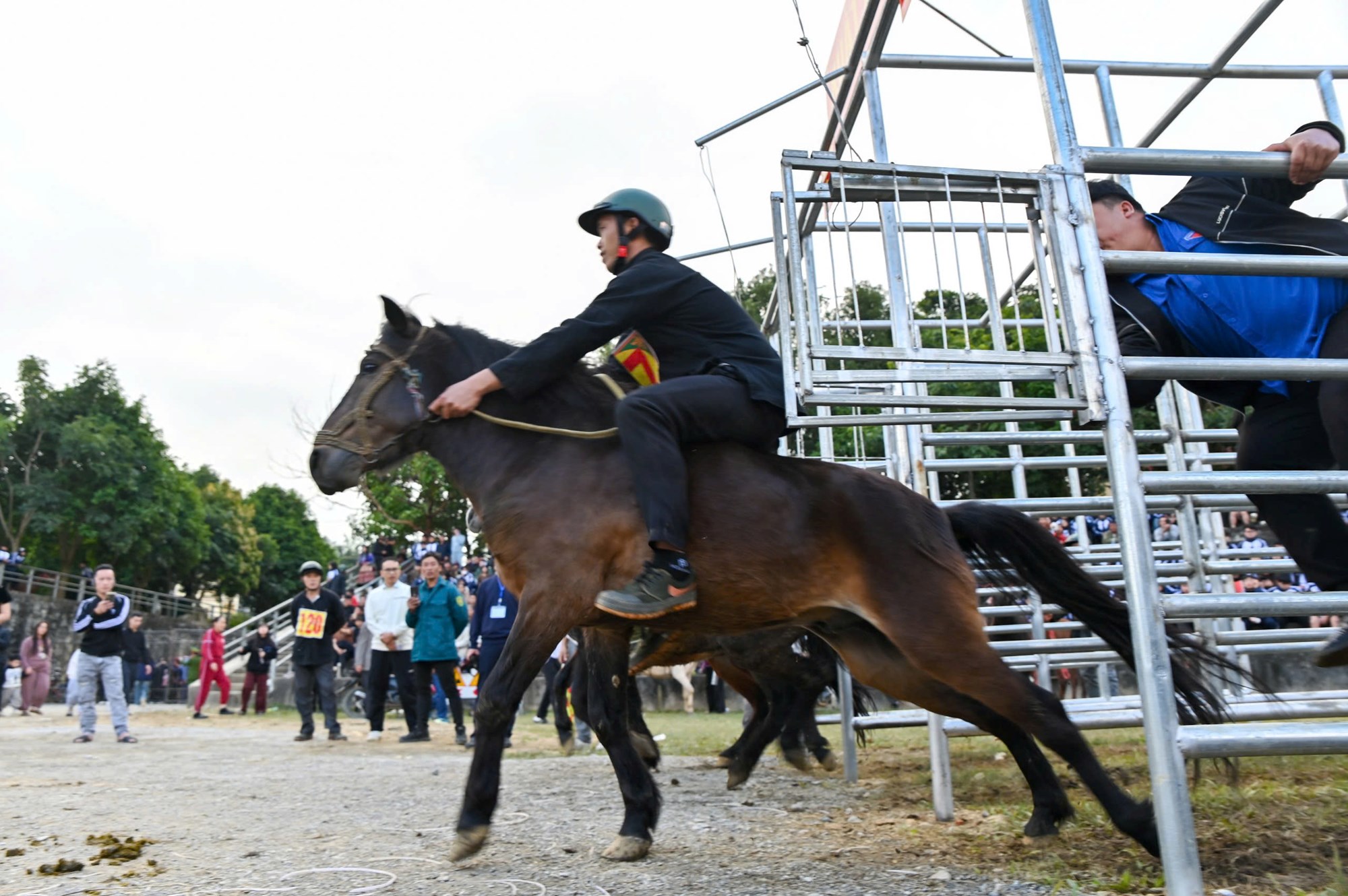 Mãn nhãn với Giải đua ngựa hàng tuần Bắc Hà - ảnh 2