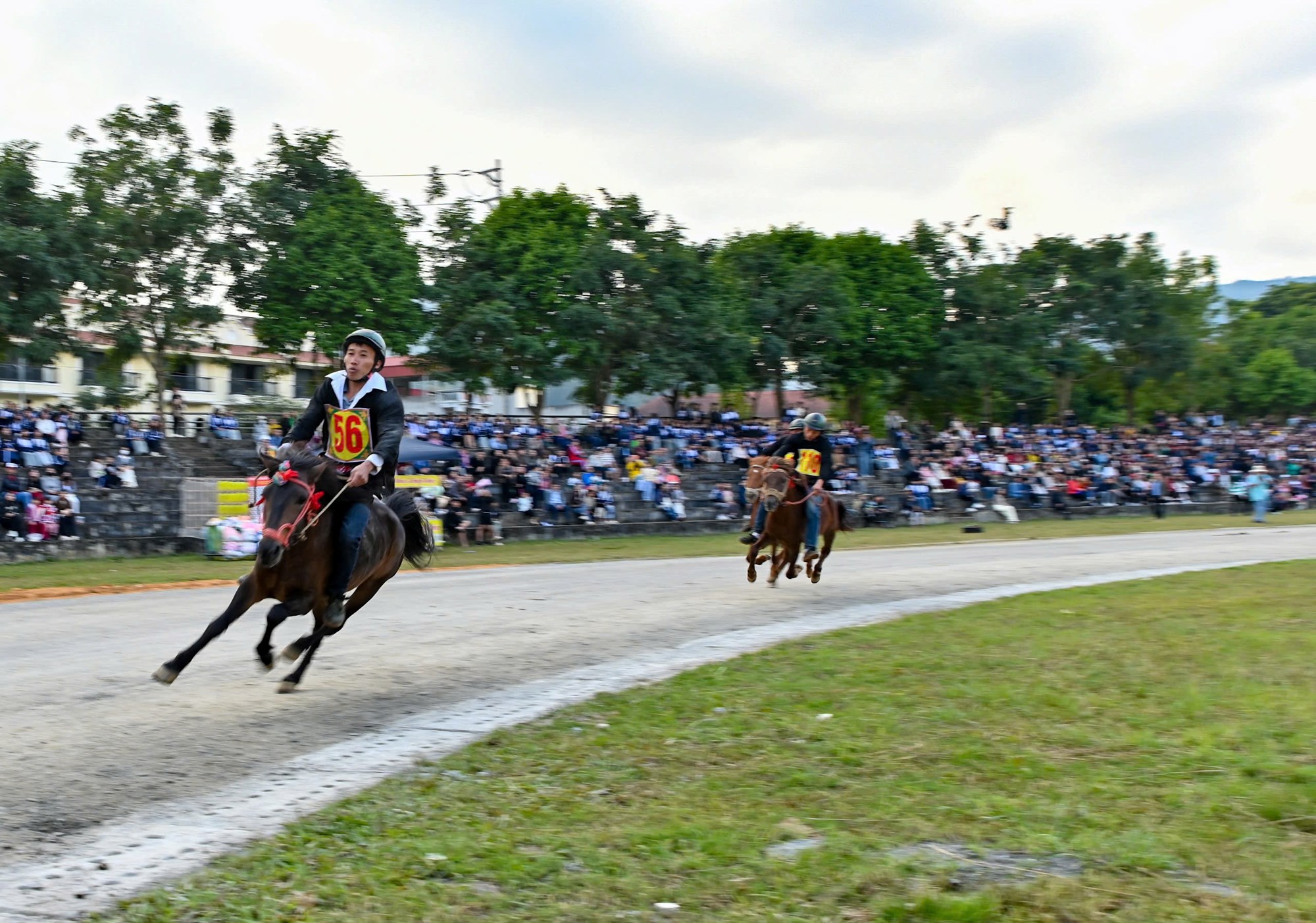 Mãn nhãn với Giải đua ngựa hàng tuần Bắc Hà - ảnh 8