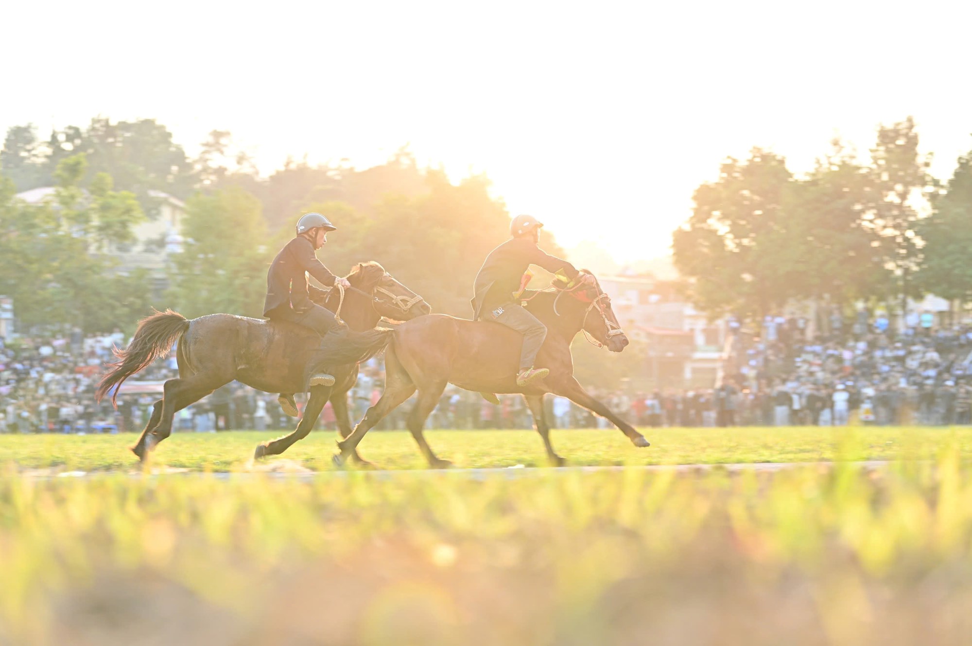 Mãn nhãn với Giải đua ngựa hàng tuần Bắc Hà - ảnh 5