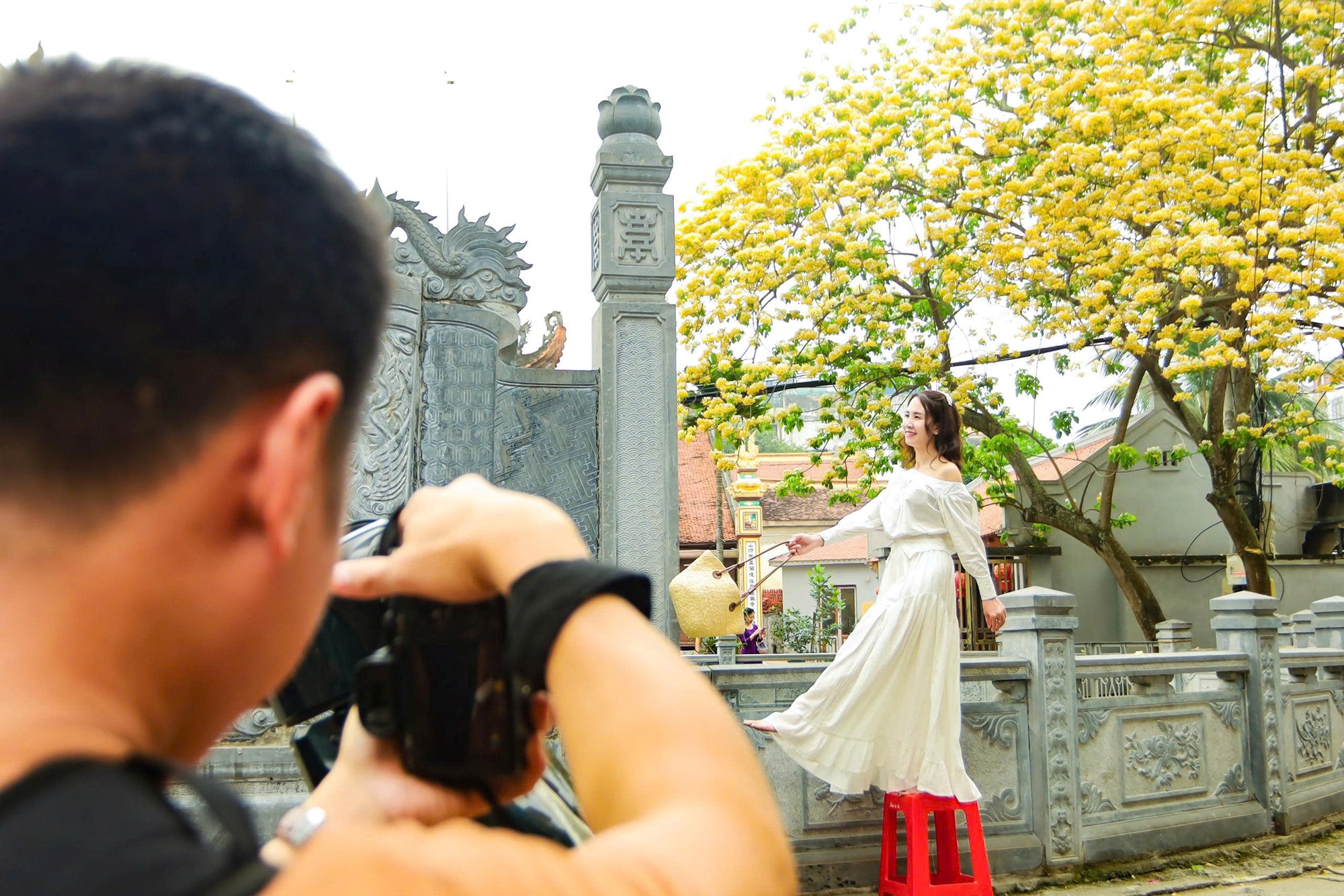 Người Hà Nội đi “săn” ảnh hoa bún chỉ nở một lần trong năm - ảnh 9