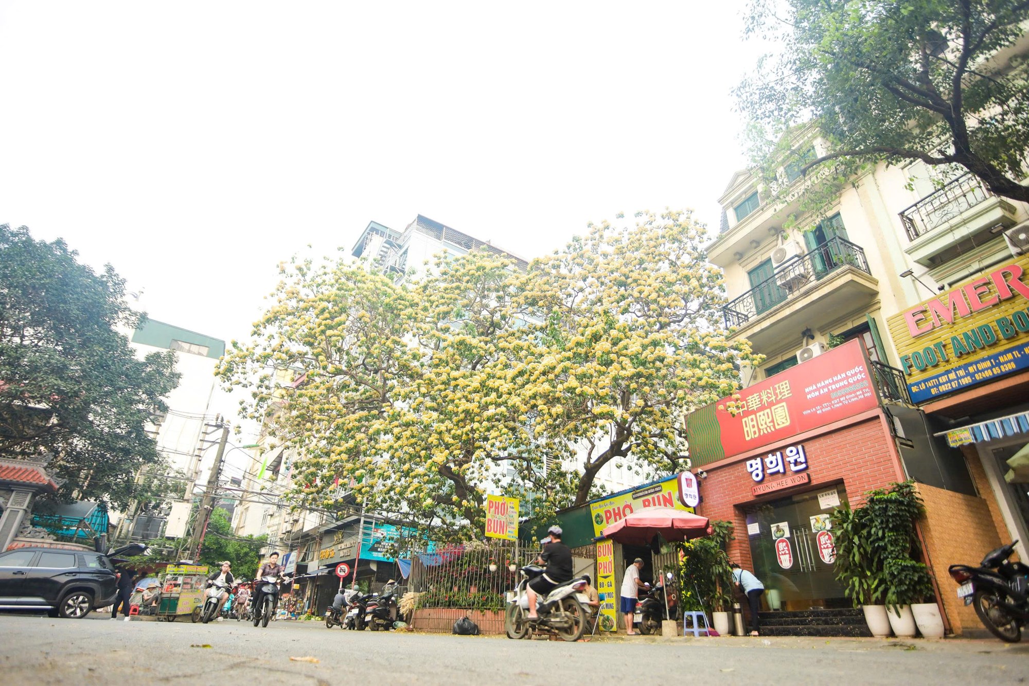 Người Hà Nội đi “săn” ảnh hoa bún chỉ nở một lần trong năm - ảnh 8