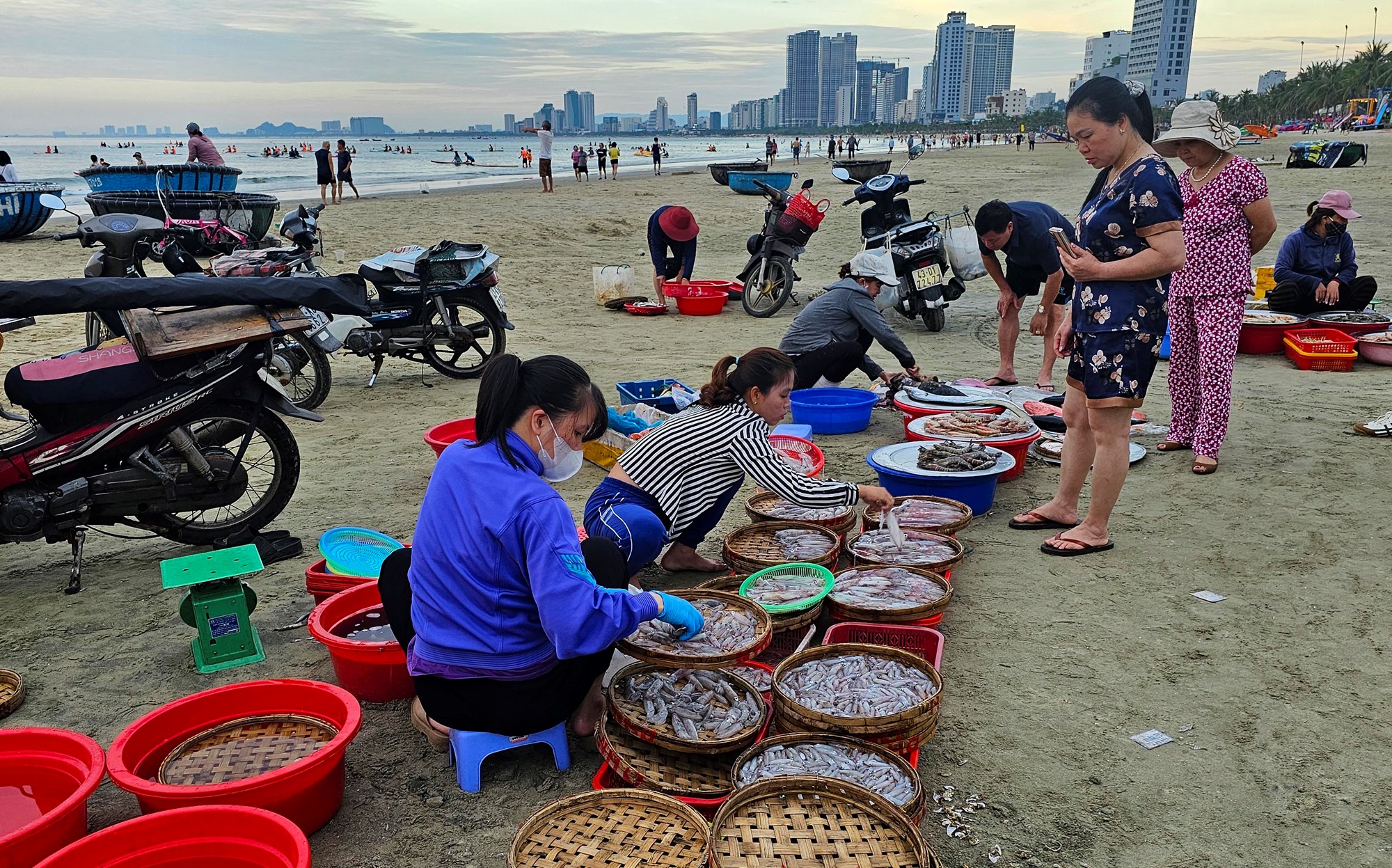 Khám phá chợ hải sản trên bãi biển Đà Nẵng lúc bình minh - ảnh 11