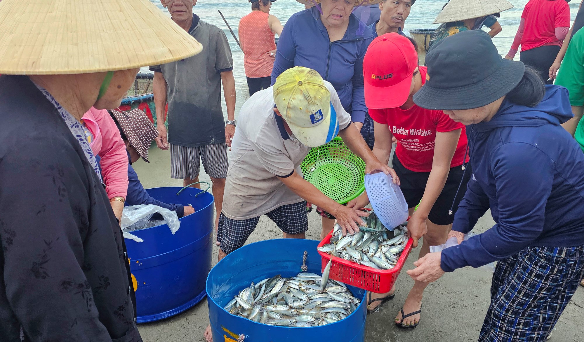 Khám phá chợ hải sản trên bãi biển Đà Nẵng lúc bình minh - ảnh 5