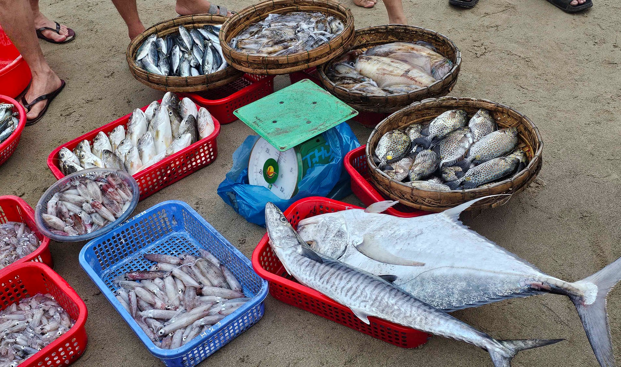 Khám phá chợ hải sản trên bãi biển Đà Nẵng lúc bình minh - ảnh 6