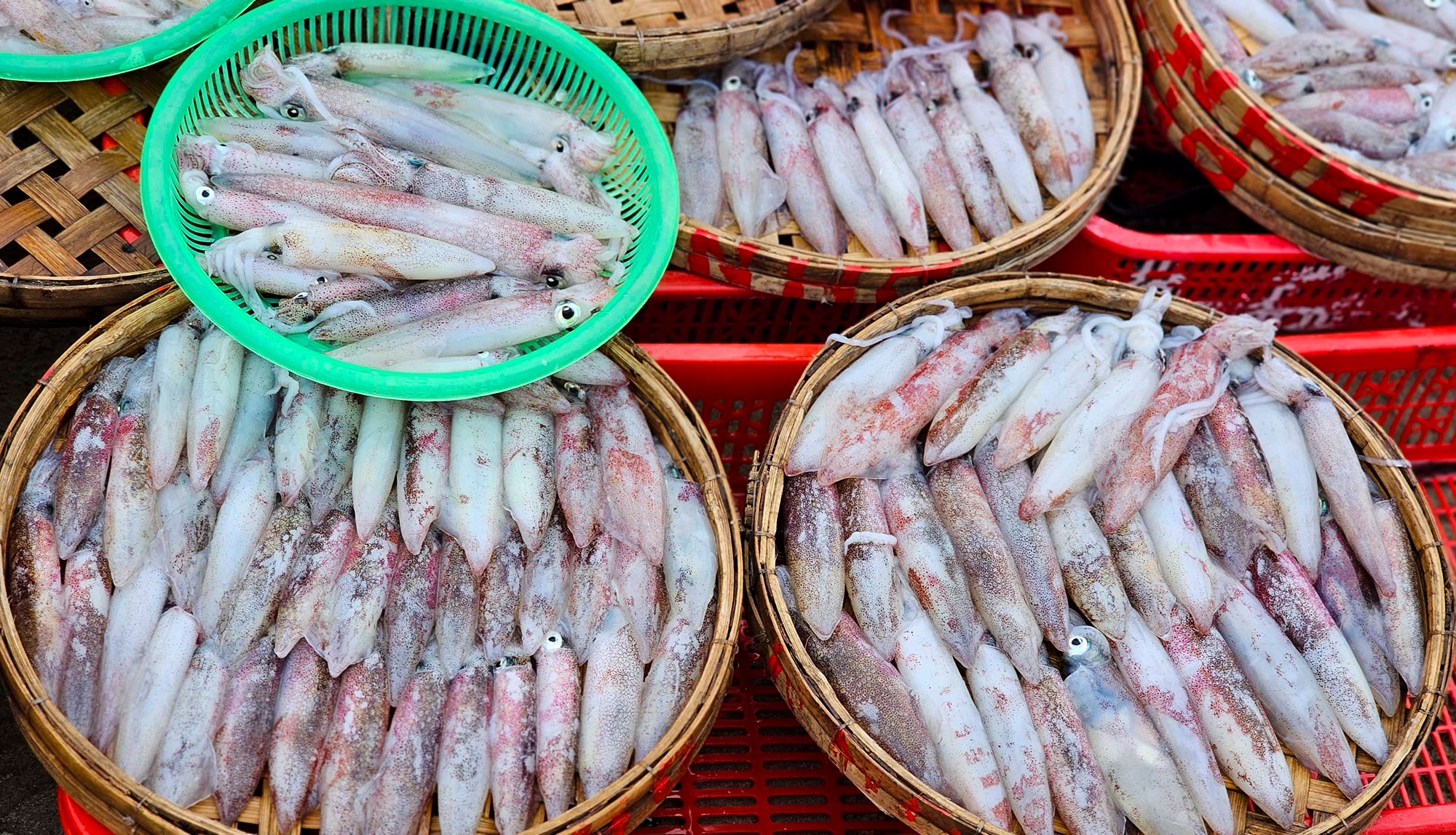 Khám phá chợ hải sản trên bãi biển Đà Nẵng lúc bình minh - ảnh 7