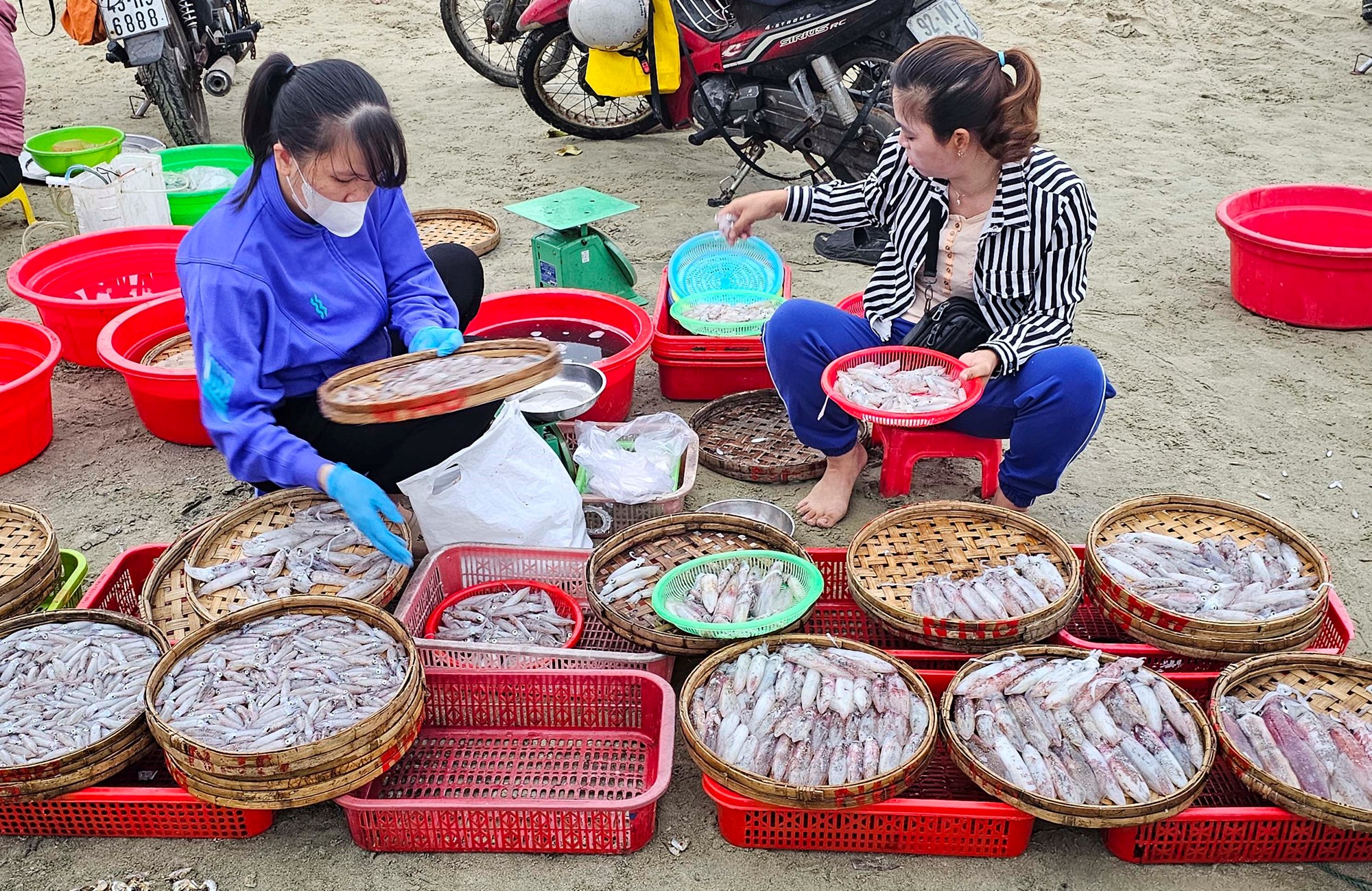 Khám phá chợ hải sản trên bãi biển Đà Nẵng lúc bình minh - ảnh 9