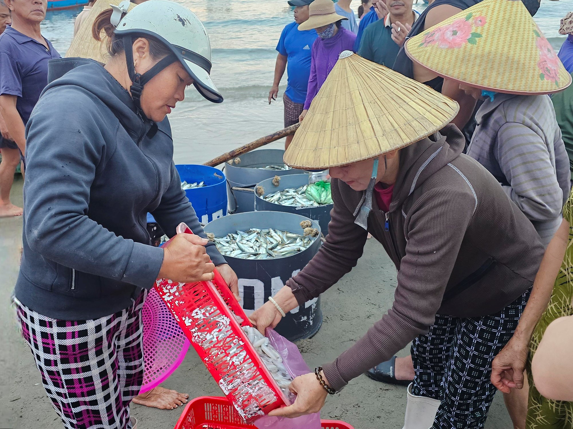 Khám phá chợ hải sản trên bãi biển Đà Nẵng lúc bình minh - ảnh 10