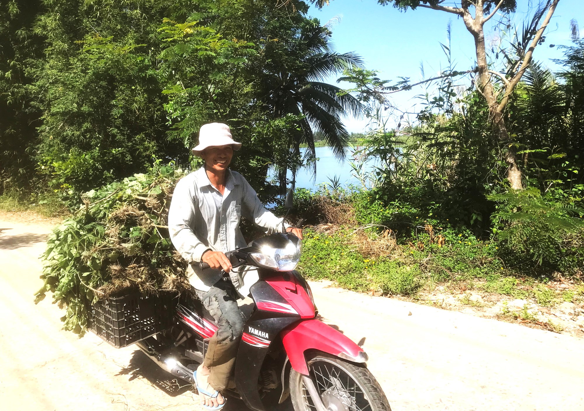 Thơm hương thuốc Nam - ảnh 3