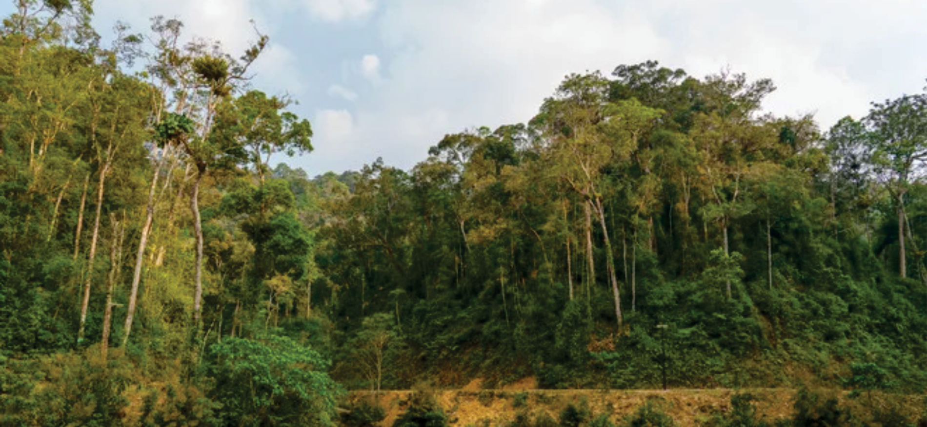 (Emagazine) Khai hội tạ ơn rừng tại Hùng Sơn - ảnh 7