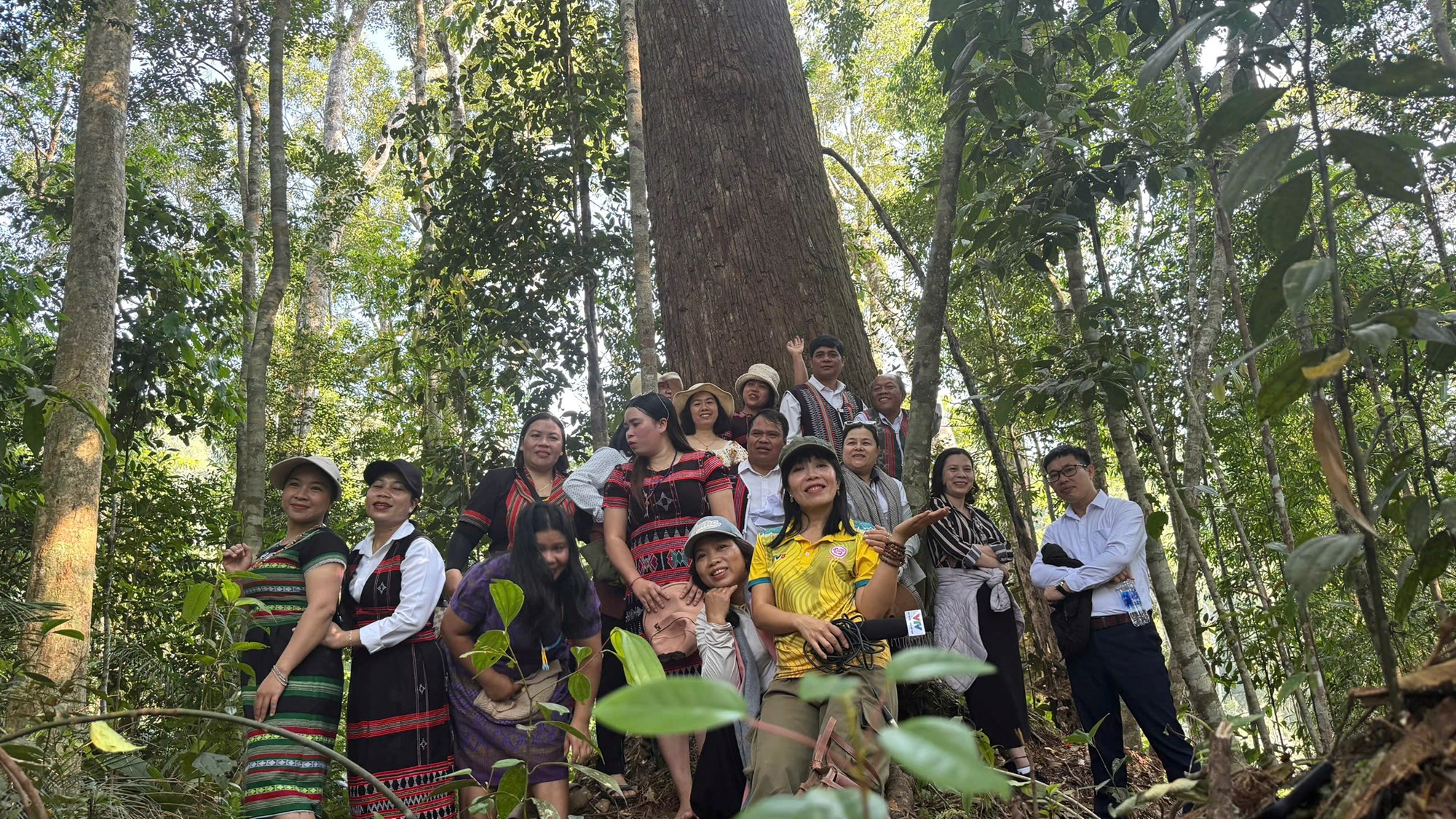 Du khách trải nghiệm tham quan rừng di sản pơmu Hùng Sơn