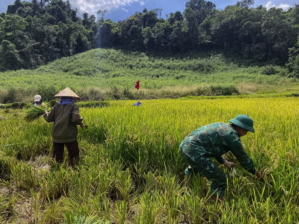 Biên phòng Quảng Trị căng mình giúp dân ứng phó bão số 5 - ảnh 12
