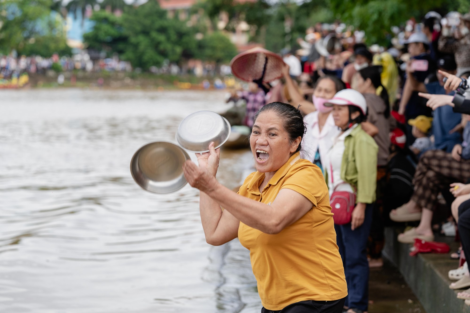 Ấn tượng lễ hội mừng Tết Độc lập trên quê hương Đại tướng - ảnh 8