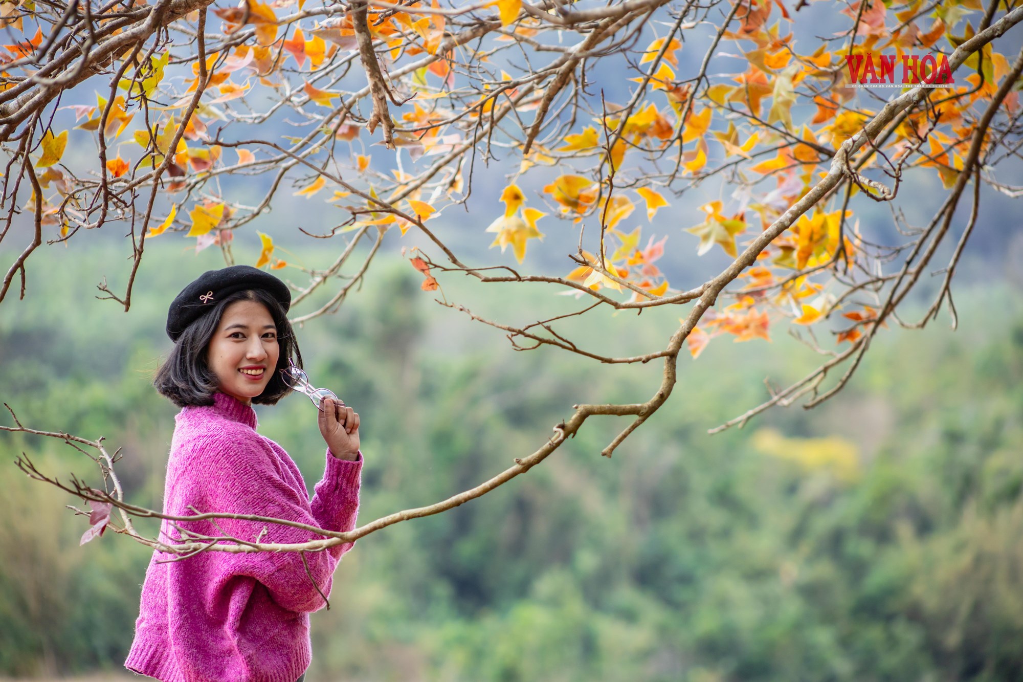 Mãn nhãn với mùa phong hương trút lá - ảnh 2