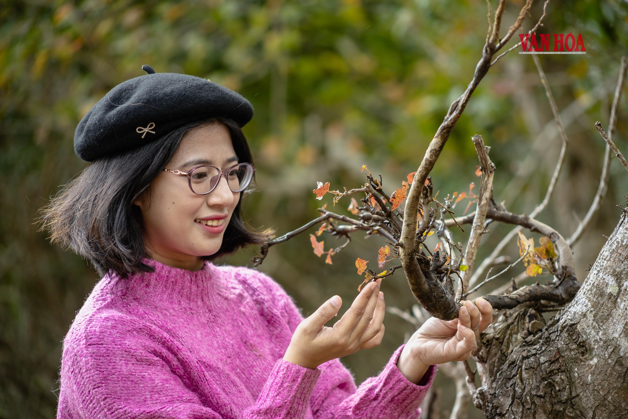 Mãn nhãn với mùa phong hương trút lá - ảnh 15