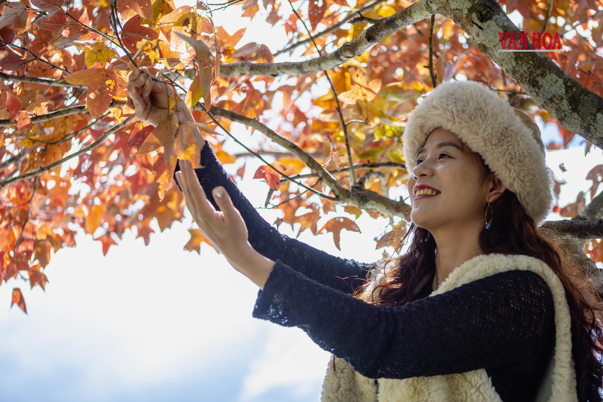 Mãn nhãn với mùa phong hương trút lá - ảnh 16