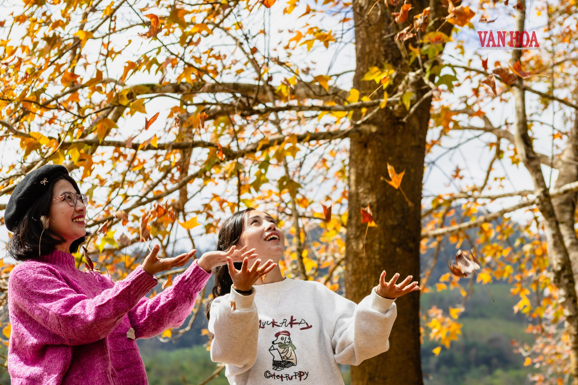 Mãn nhãn với mùa phong hương trút lá - ảnh 17