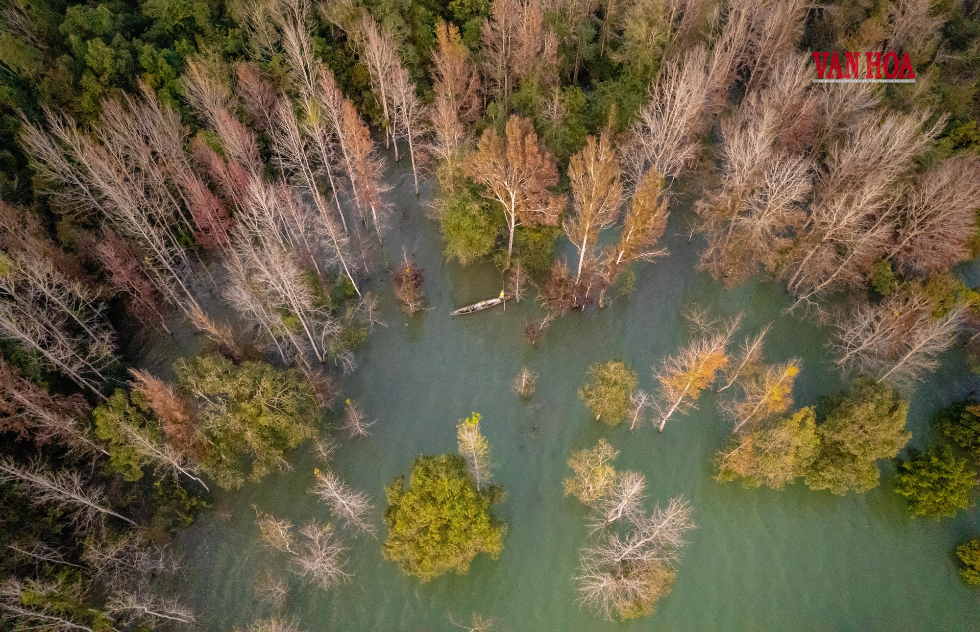 Mãn nhãn với mùa phong hương trút lá - ảnh 7