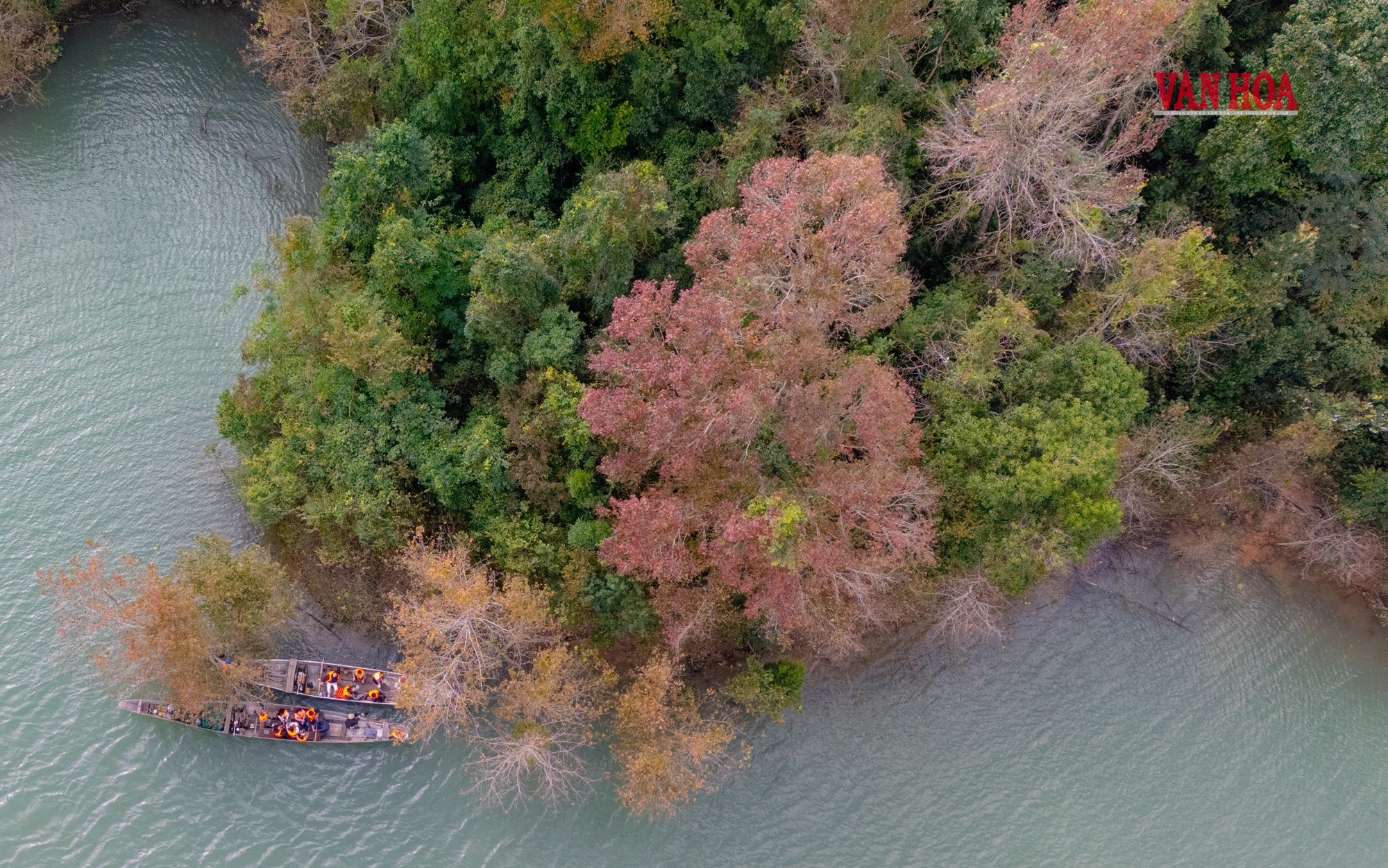 Mãn nhãn với mùa phong hương trút lá - ảnh 8