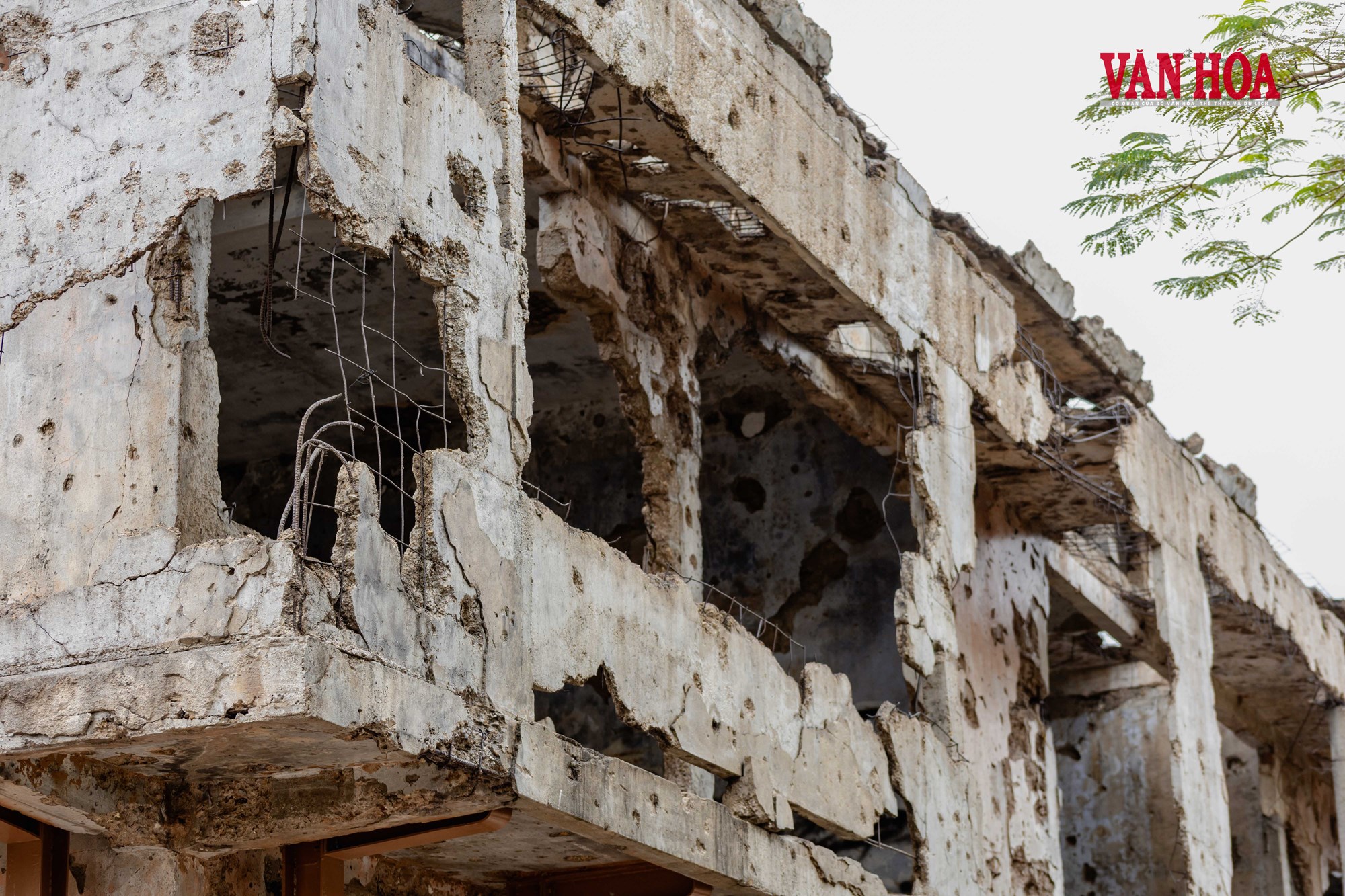 Giữ ký ức Trường Bồ Đề cho mai sau - ảnh 6