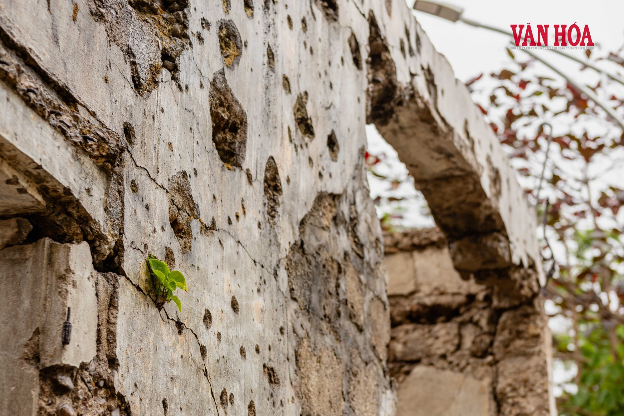 Giữ ký ức Trường Bồ Đề cho mai sau - ảnh 14