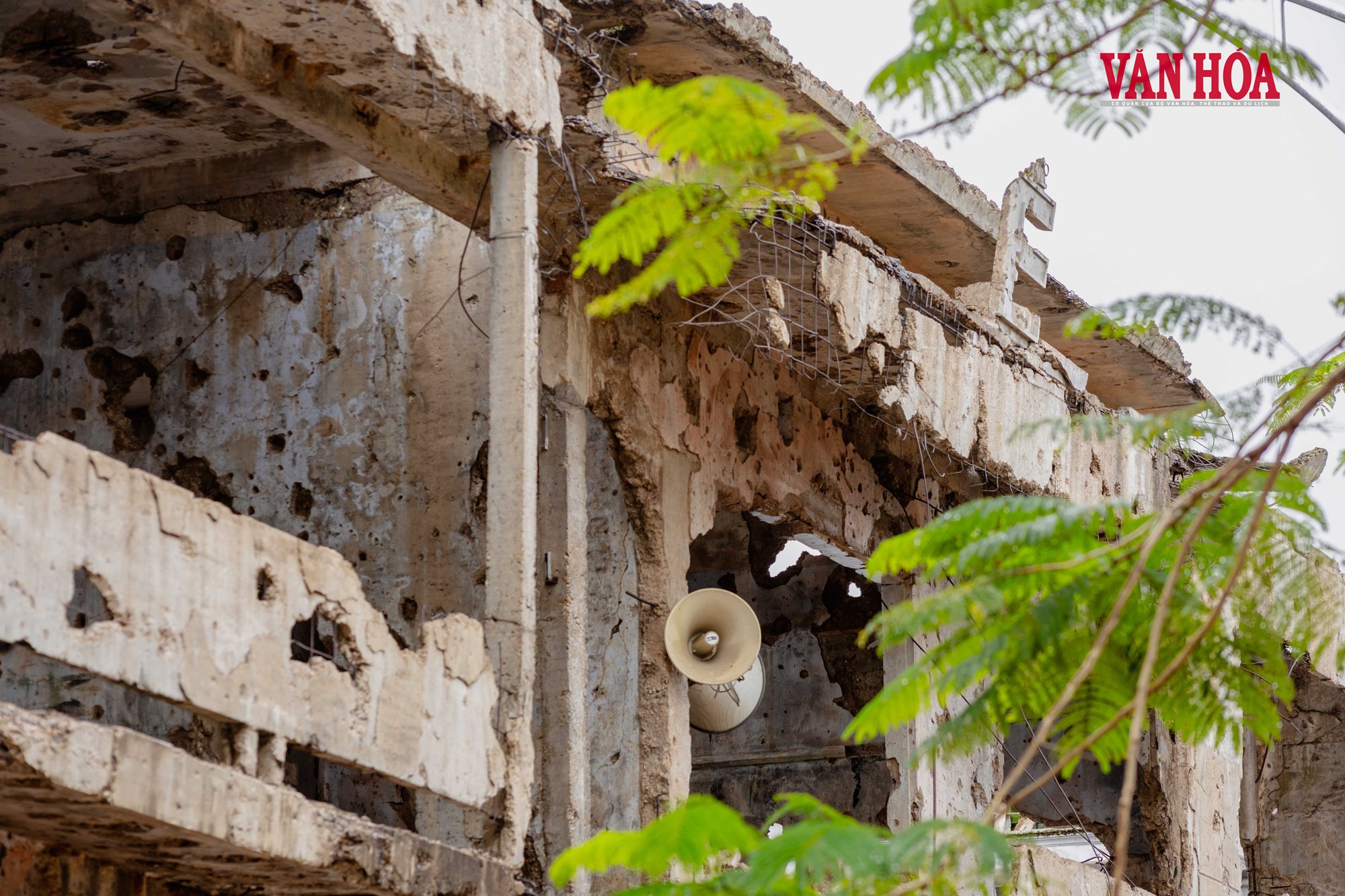 Giữ ký ức Trường Bồ Đề cho mai sau - ảnh 2